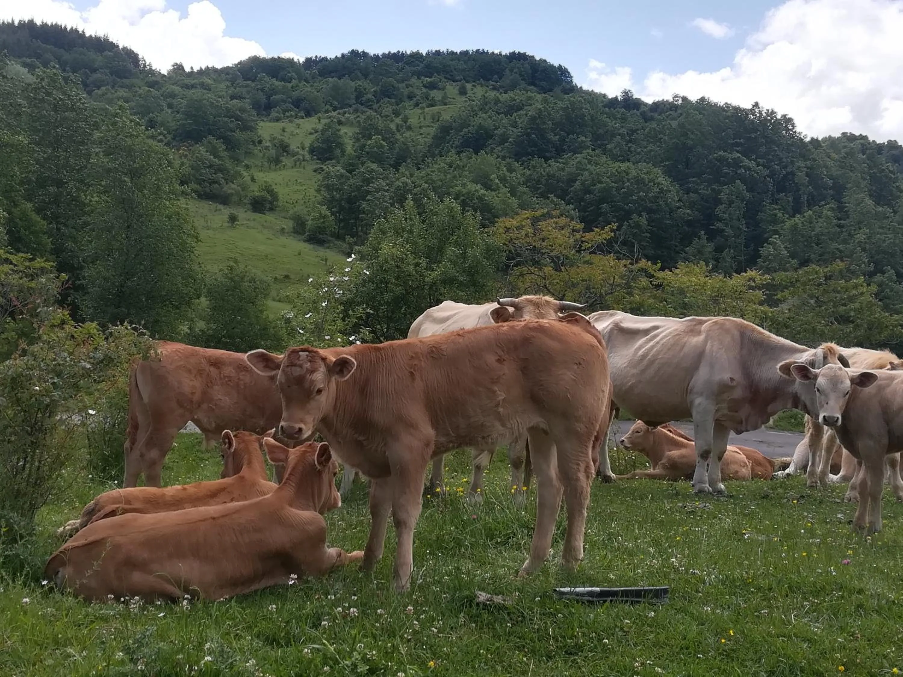 Other in B&B Le Ginestre