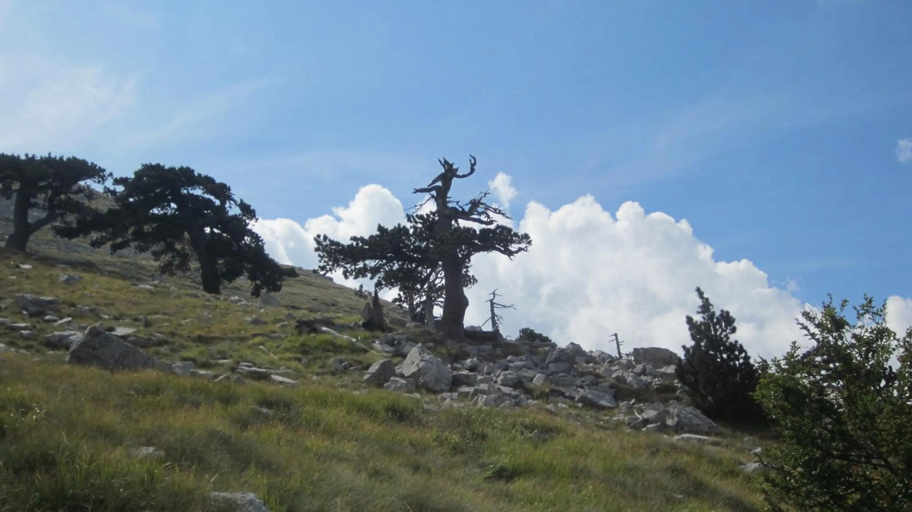 Nearby landmark in B&B Le Ginestre