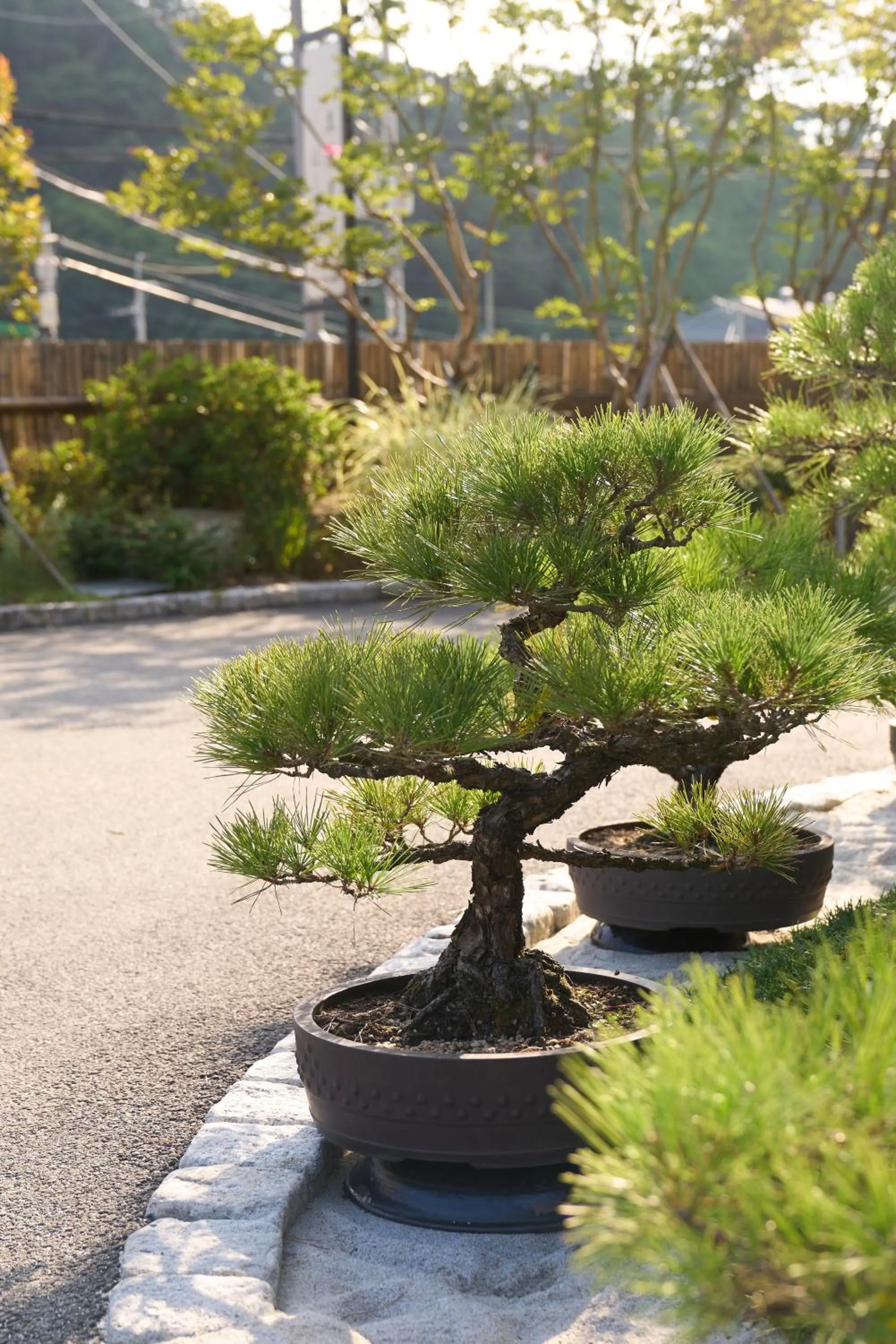Natural landscape in Hoshikage Ryokan Hotel