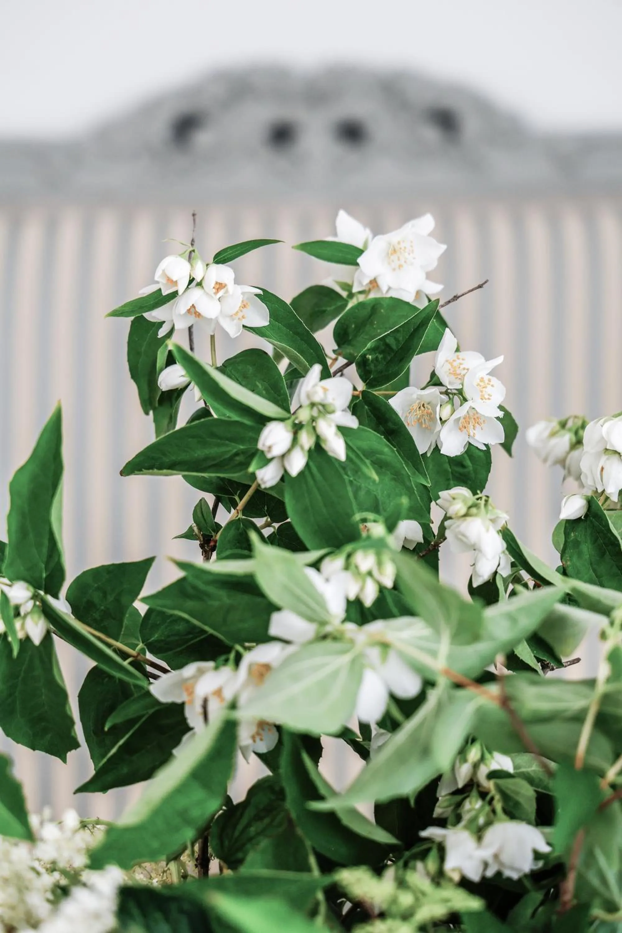 Decorative detail in Lundsgaard Gods Badehotel