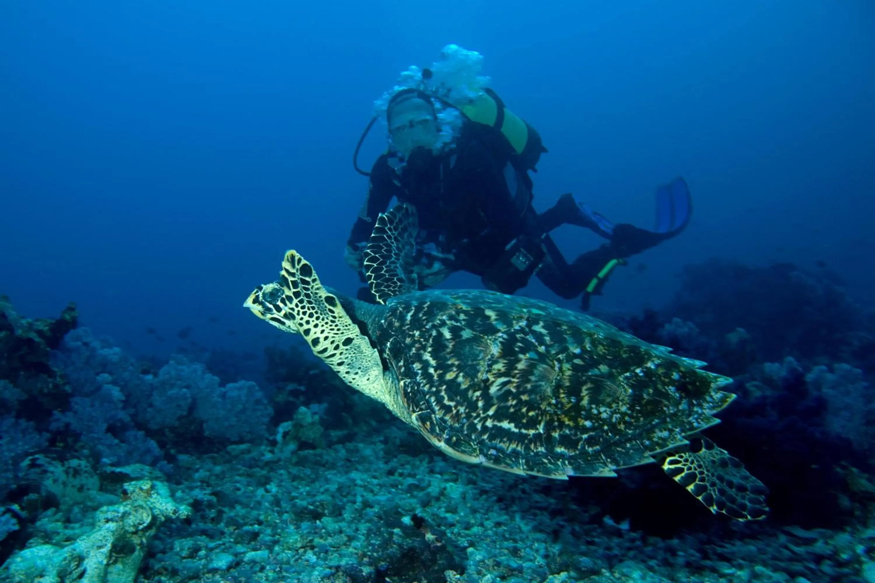 Location in Djibouti Palace Kempinski