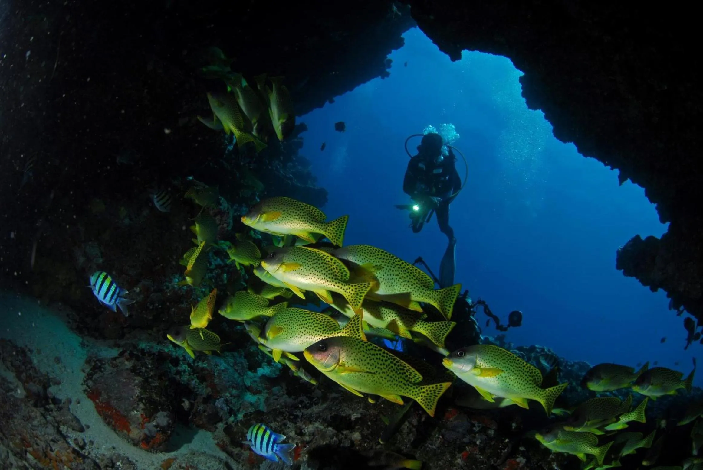 Location in Djibouti Palace Kempinski
