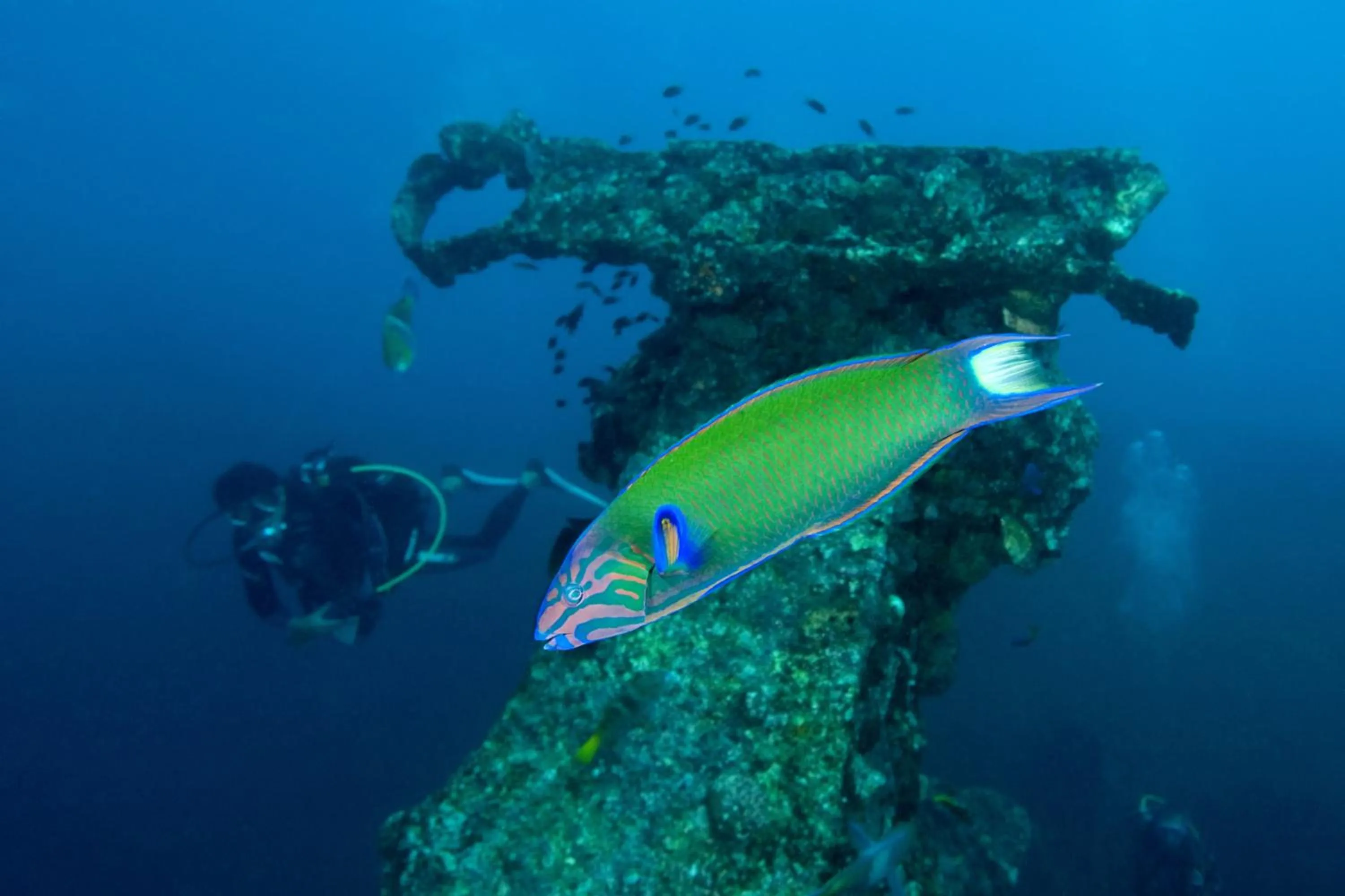 Snorkeling in Djibouti Palace Kempinski