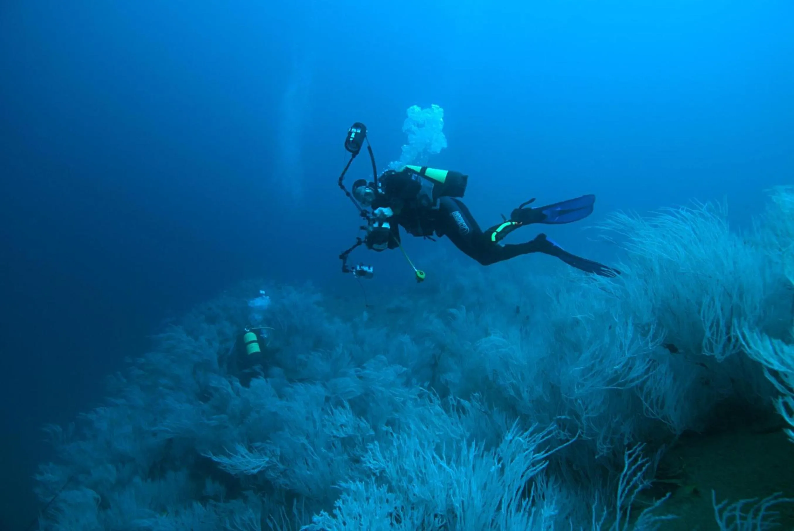 Location in Djibouti Palace Kempinski