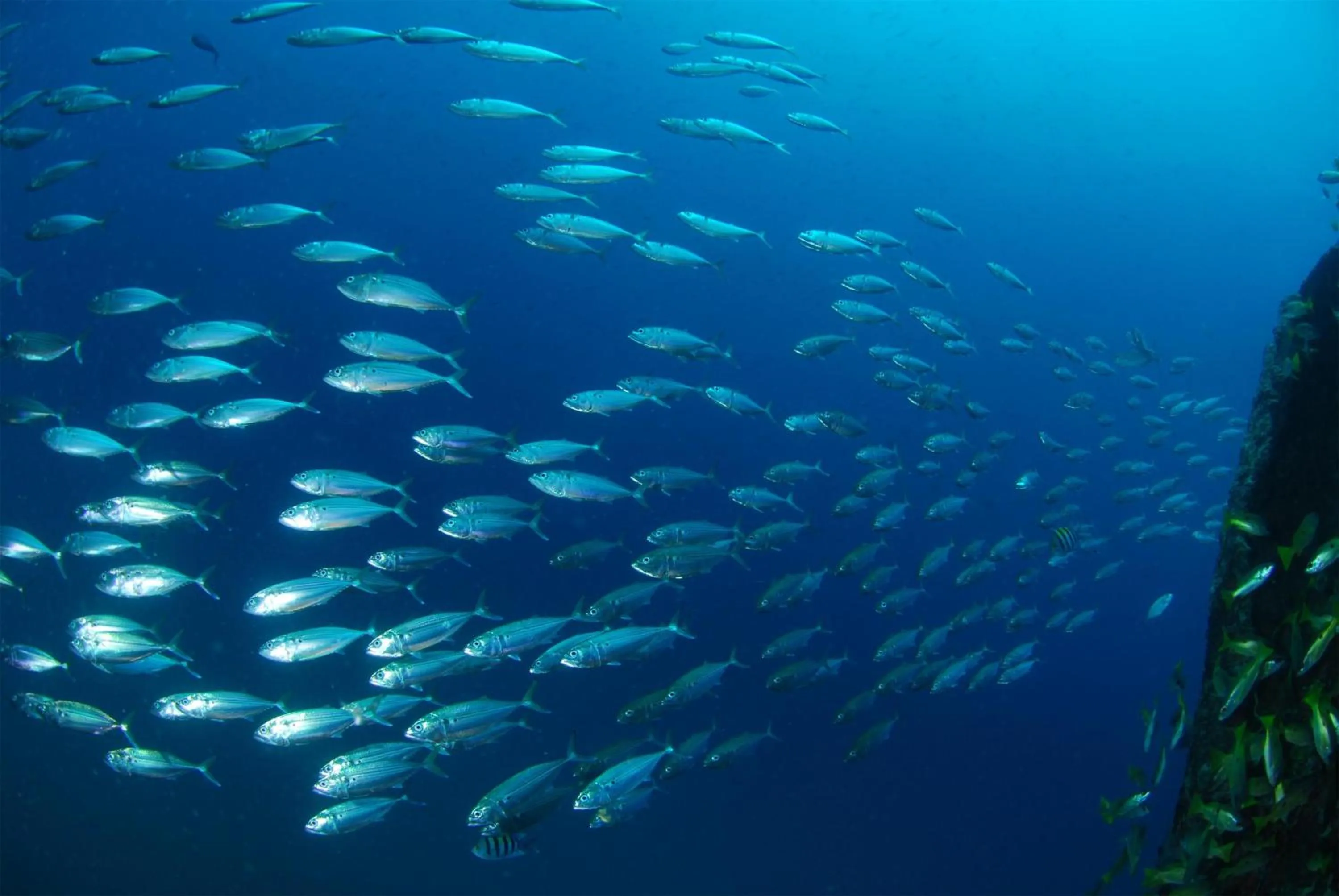 Location in Djibouti Palace Kempinski