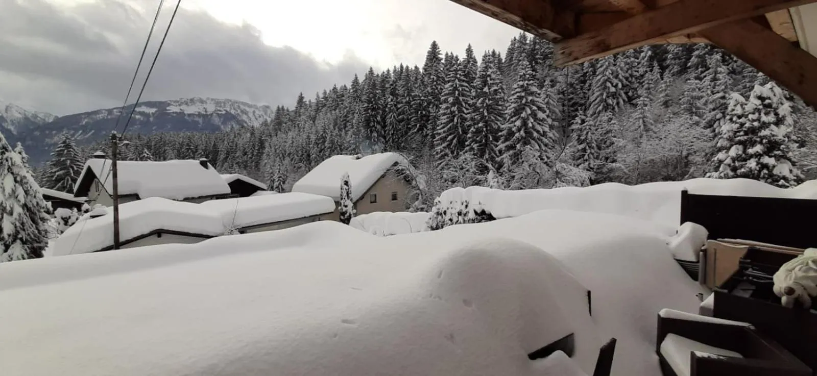 Natural landscape in Haus Sieben - Singer Lydia