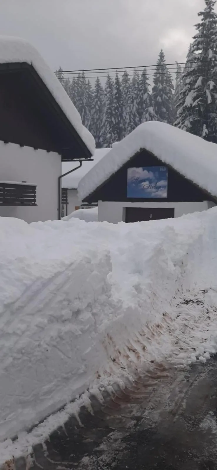 Winter in Haus Sieben - Singer Lydia