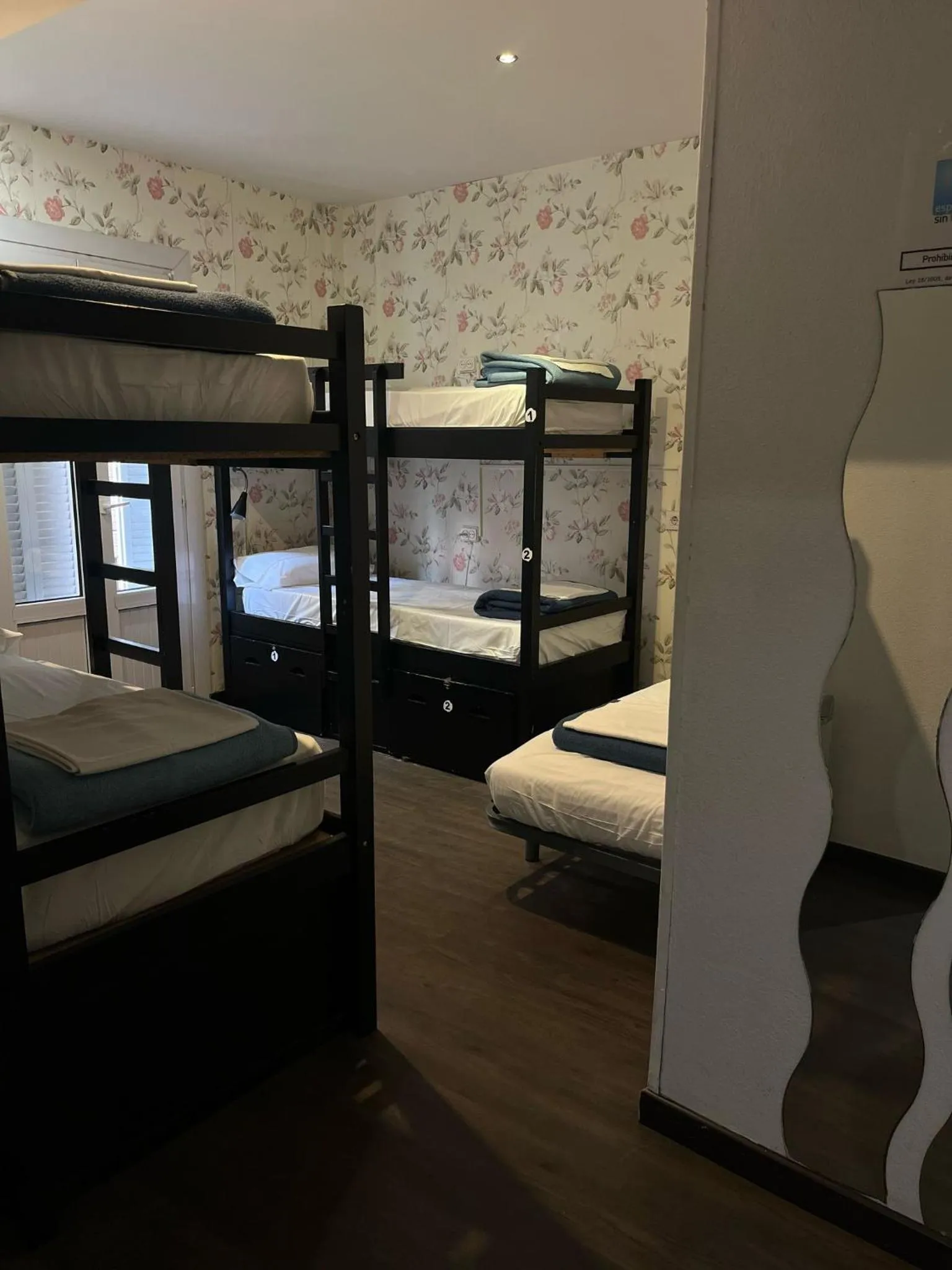 bunk bed, Bed in Oasis Backpackers' Toledo
