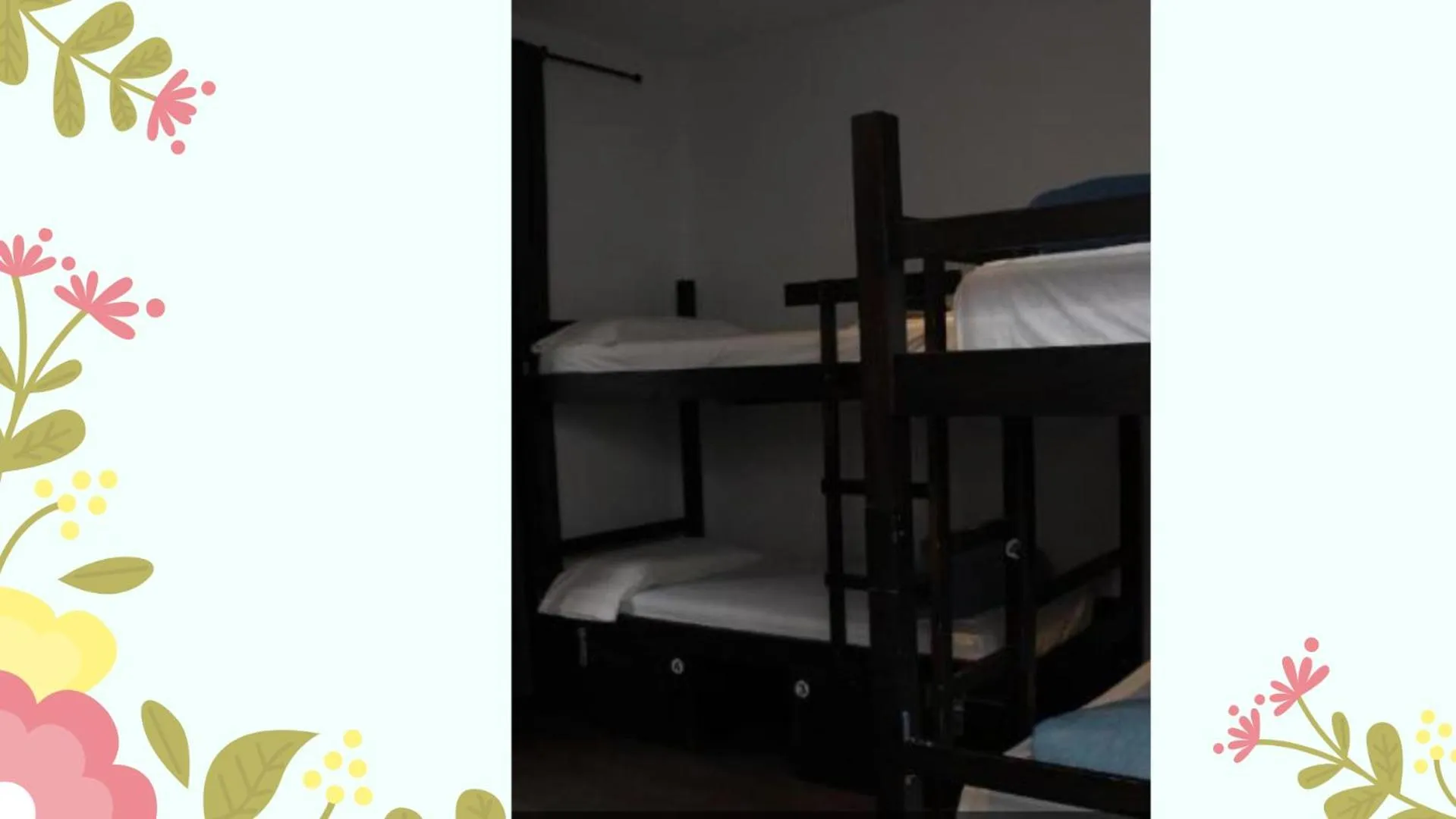bunk bed, Bed in Oasis Backpackers' Toledo