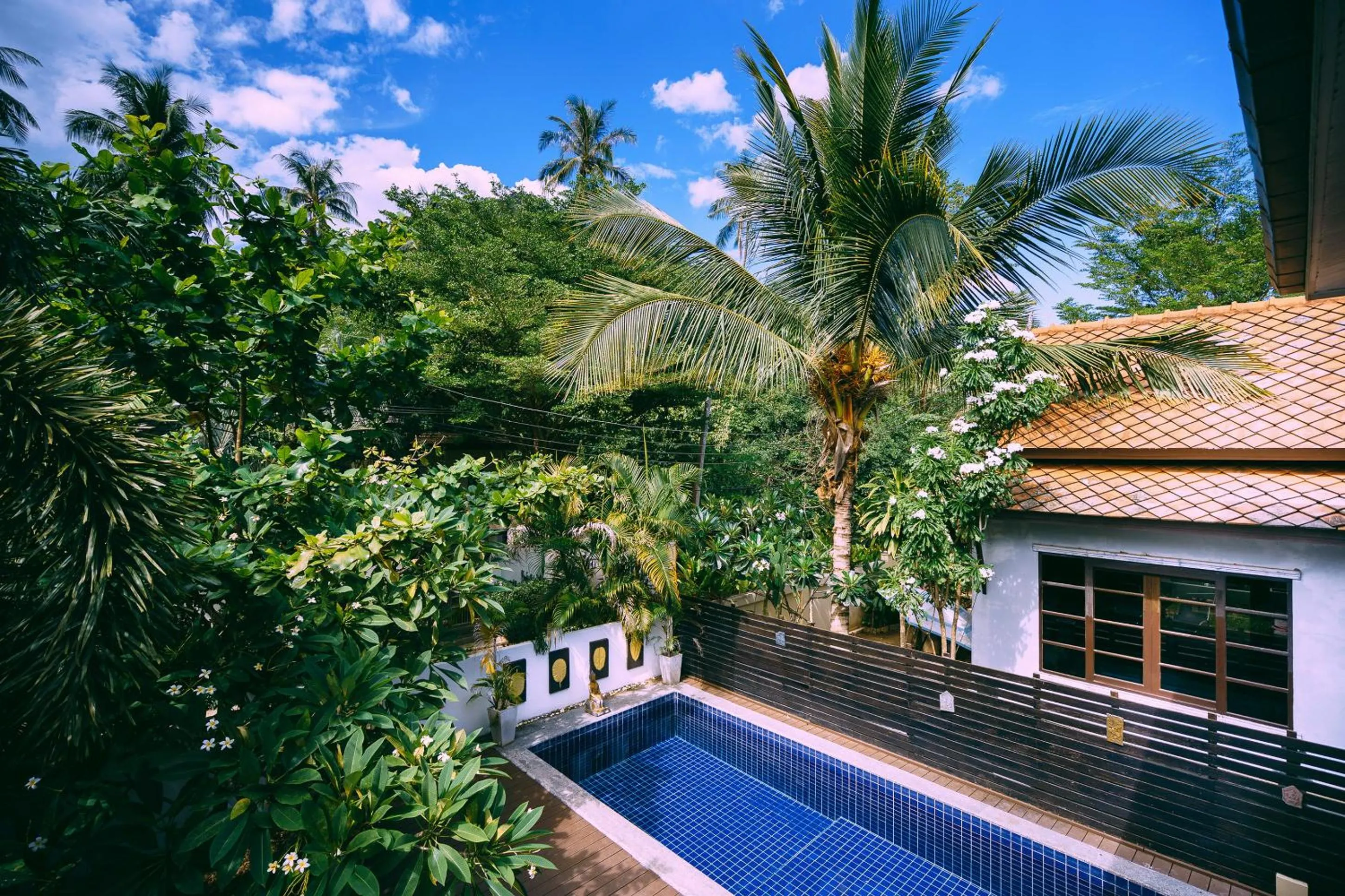 Garden view in Villa Whitney