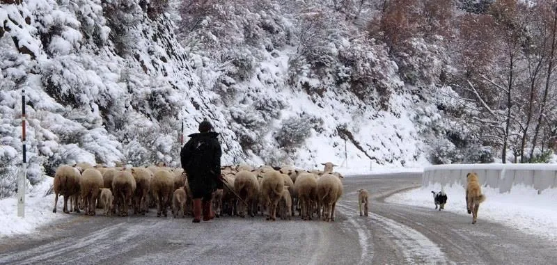 Entertainment in Birgi Hotel Saliha Hanim Tas Konak