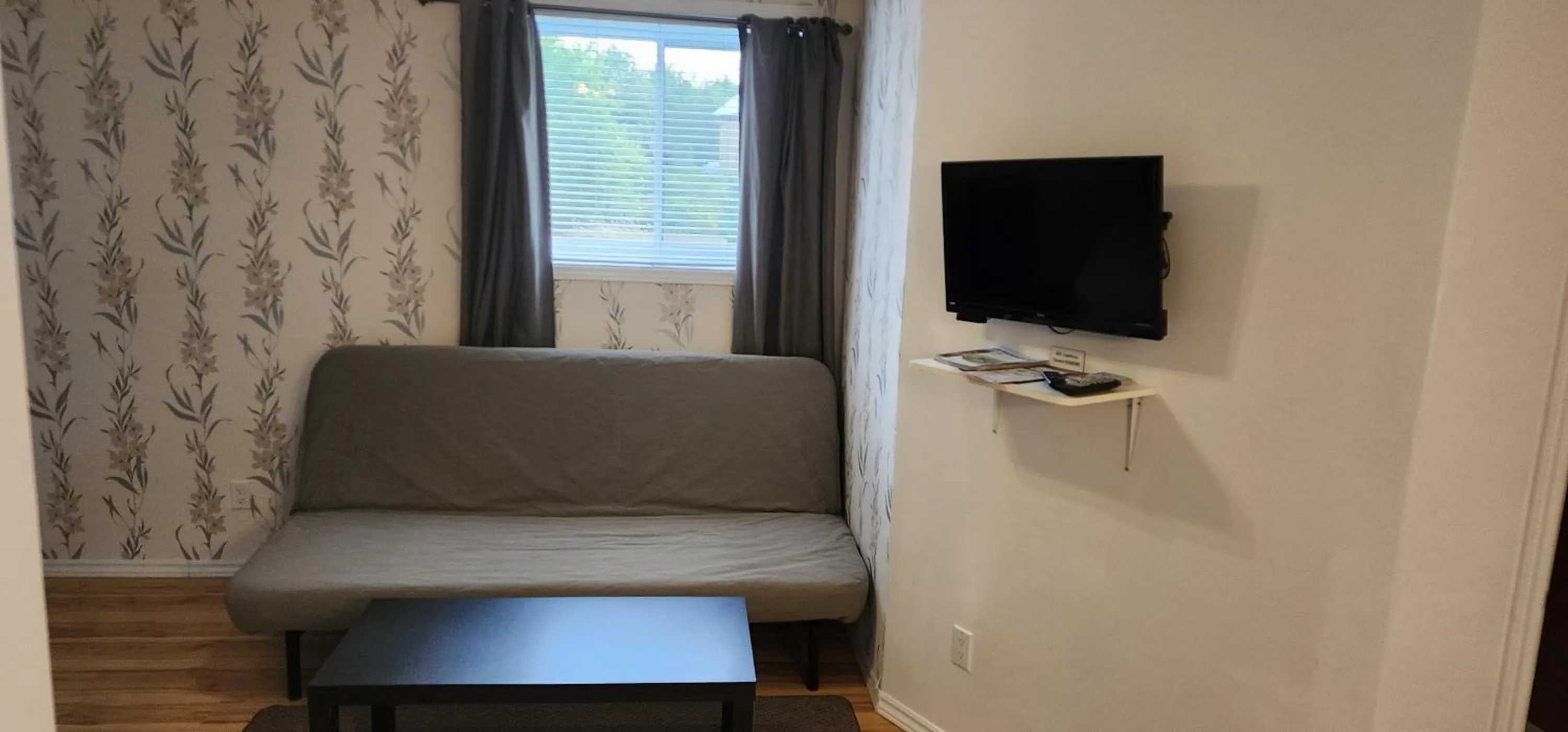 TV and multimedia in Cedar Drive Inn