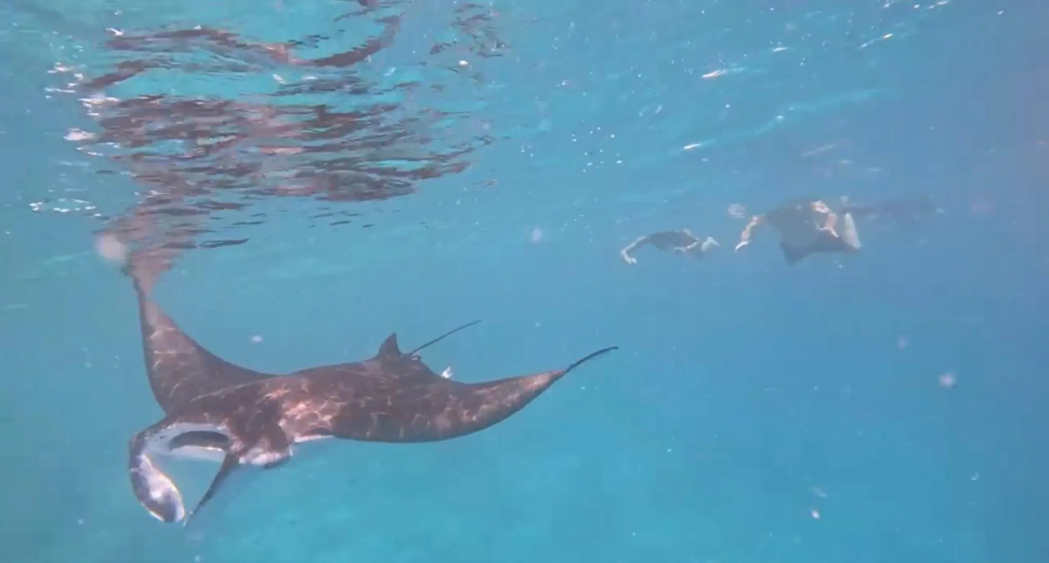 Activities in Ocean Pearl