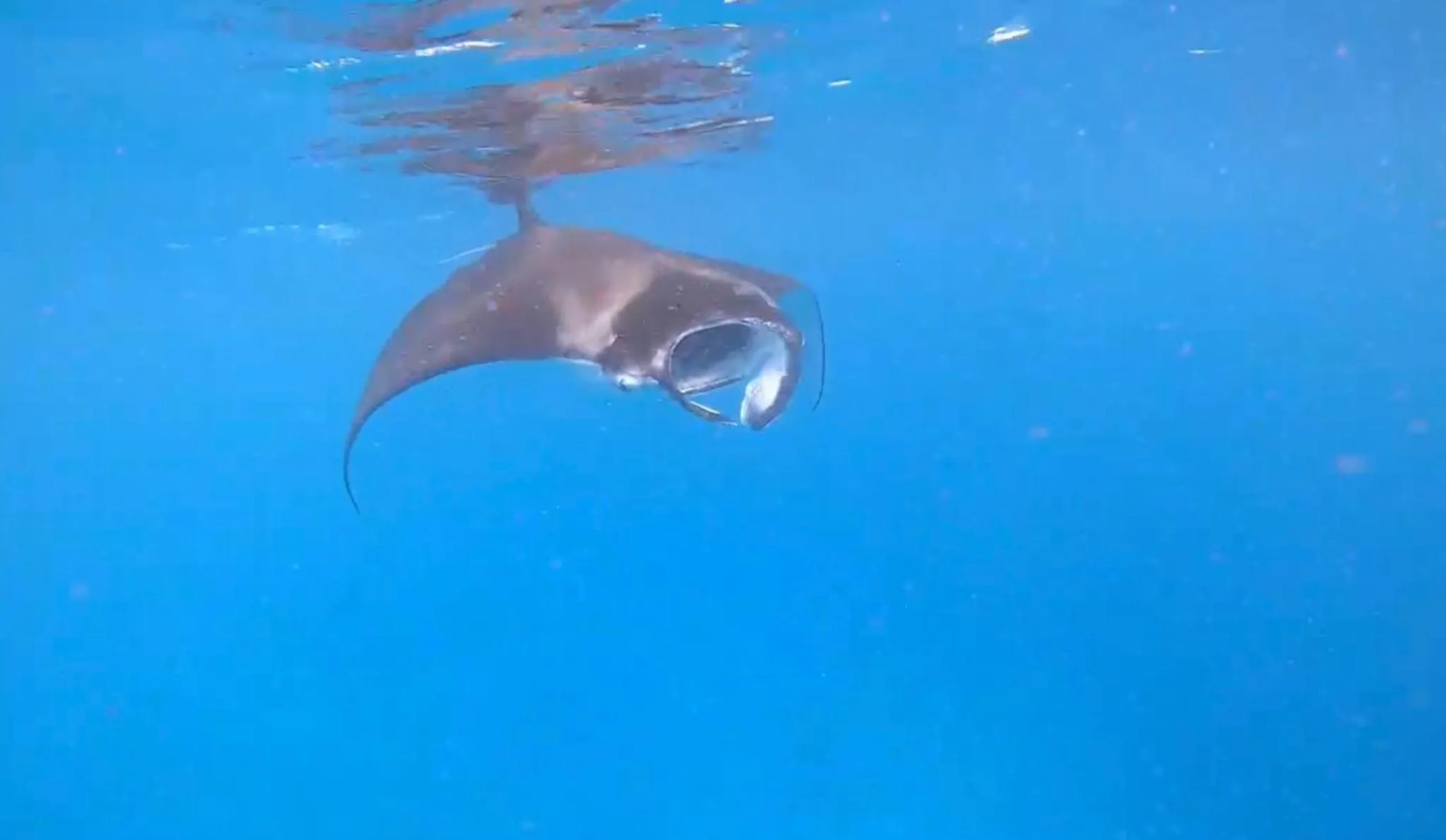 Activities in Ocean Pearl