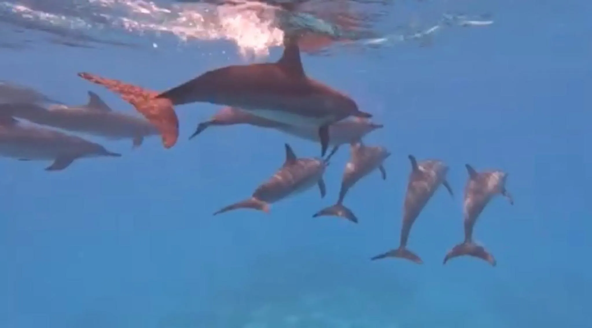 Activities in Ocean Pearl