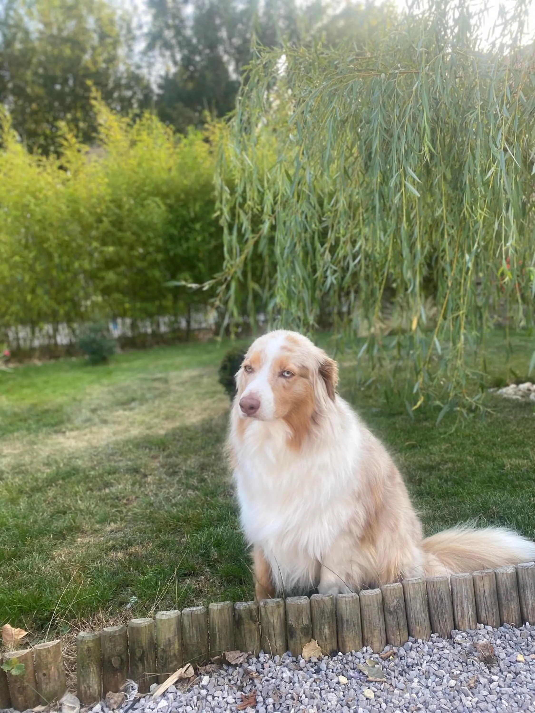 Pets in Ferme "les Flaquettes"