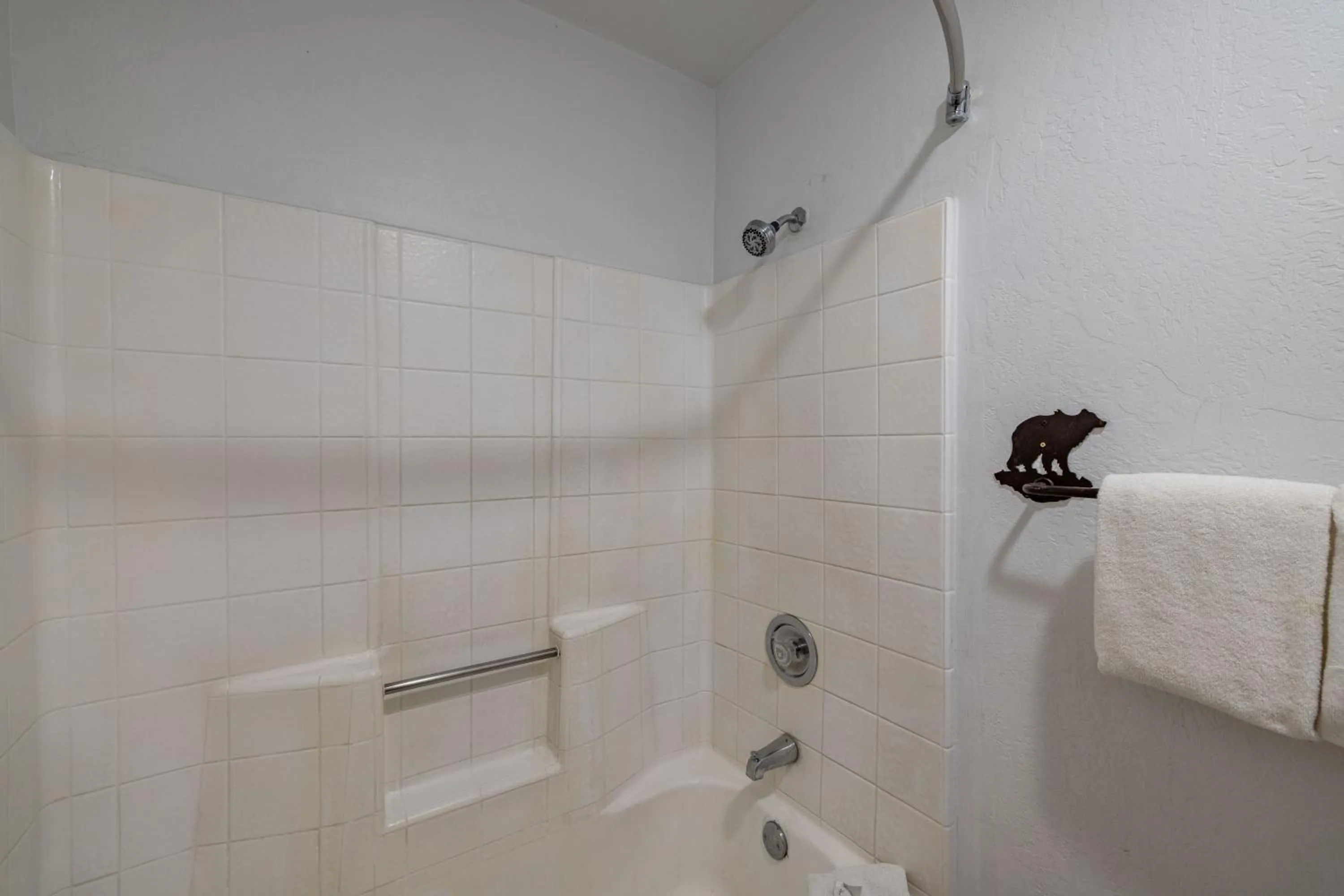 Shower in Big Bear Lakefront Lodge