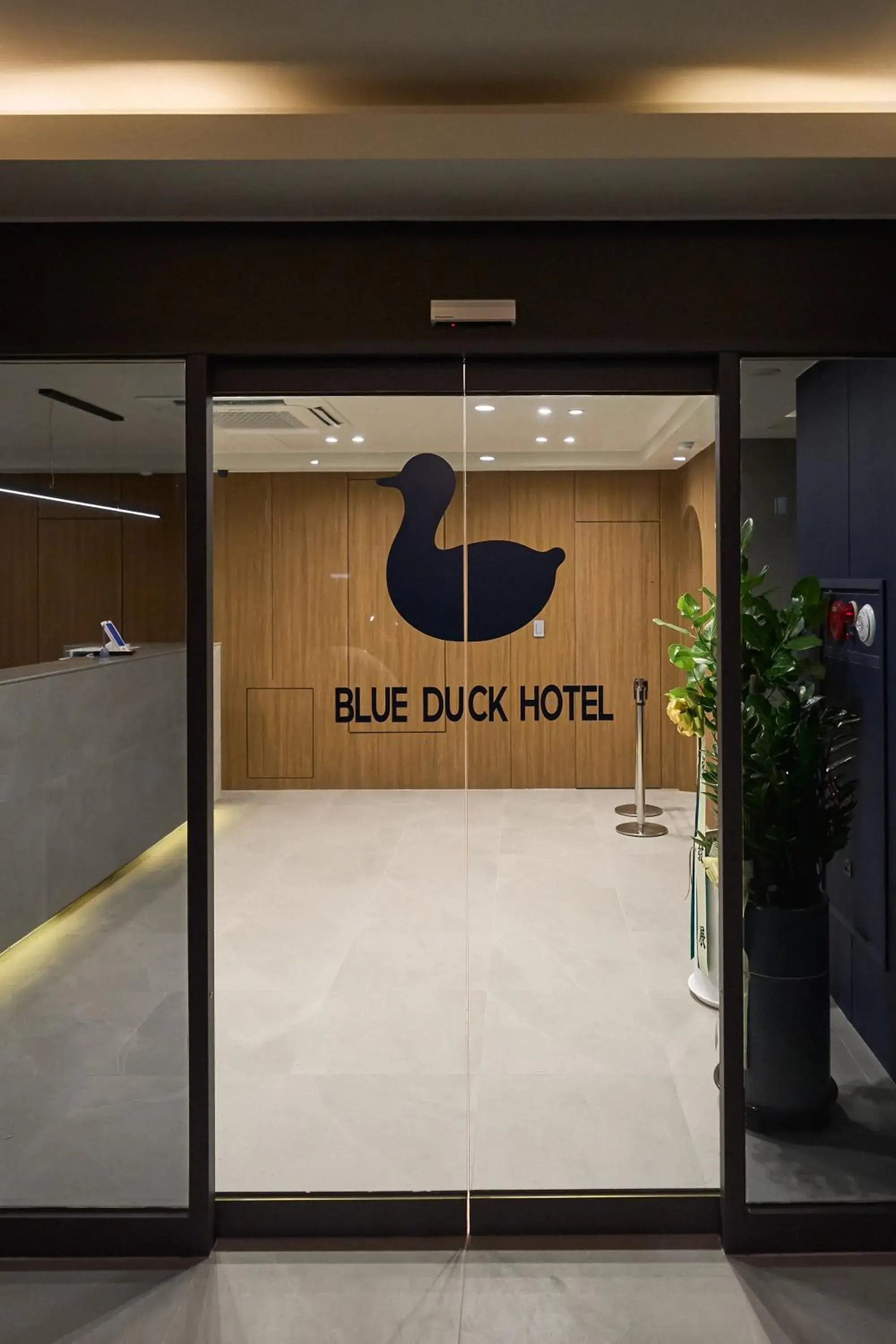 Blueduck hotel Blueduck hotel