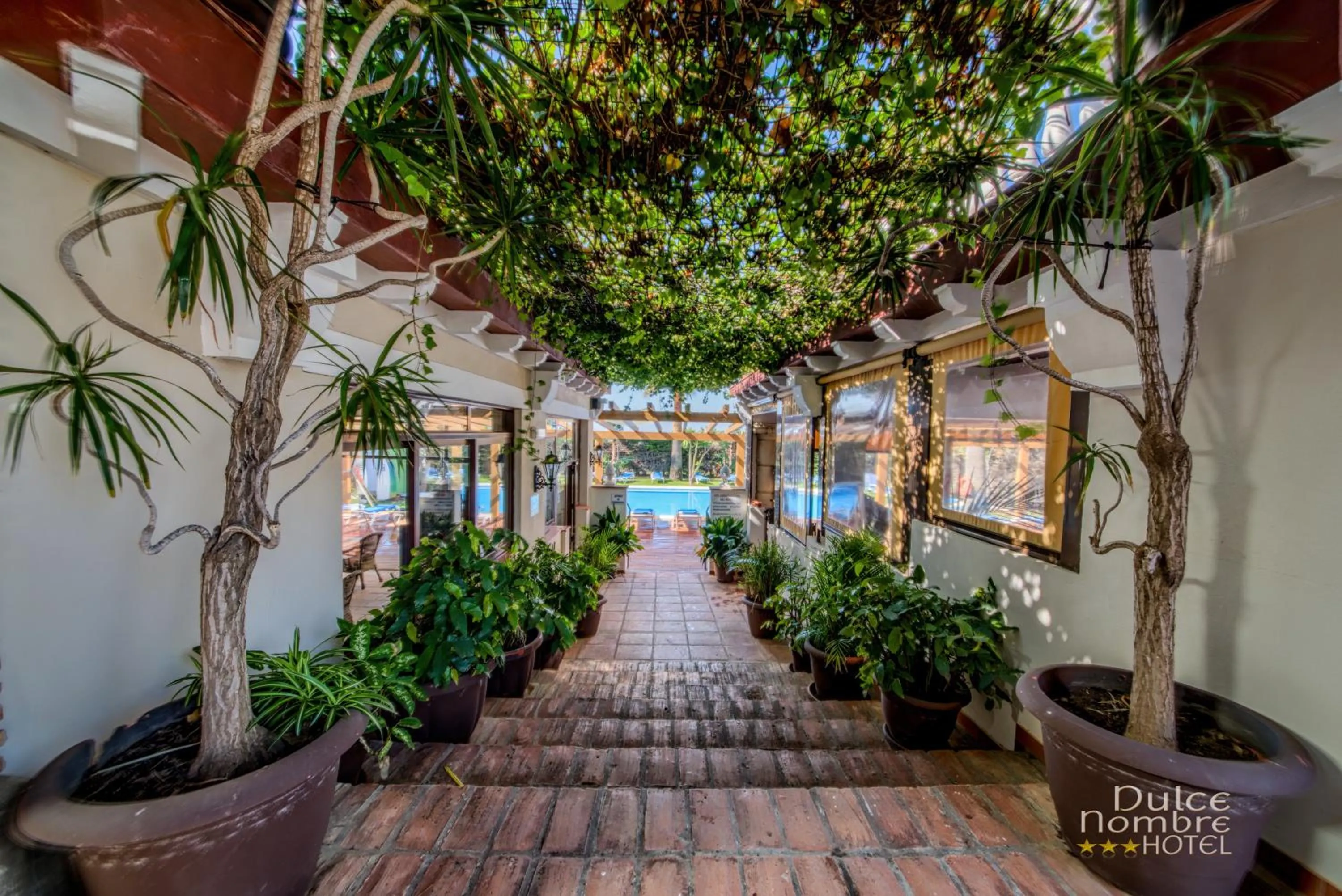 Swimming pool in Dulce Nombre Hotel - Apartamentos