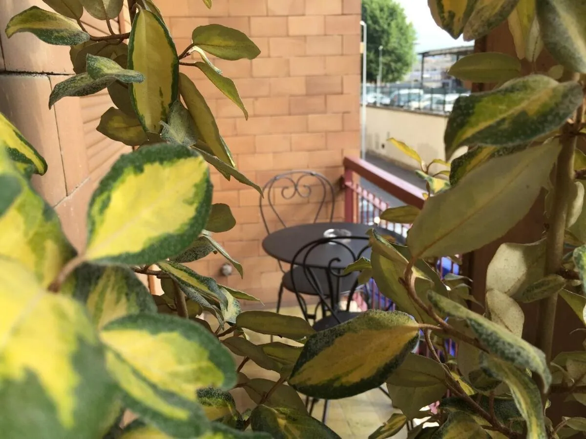 Balcony/Terrace in B&B La Nannina