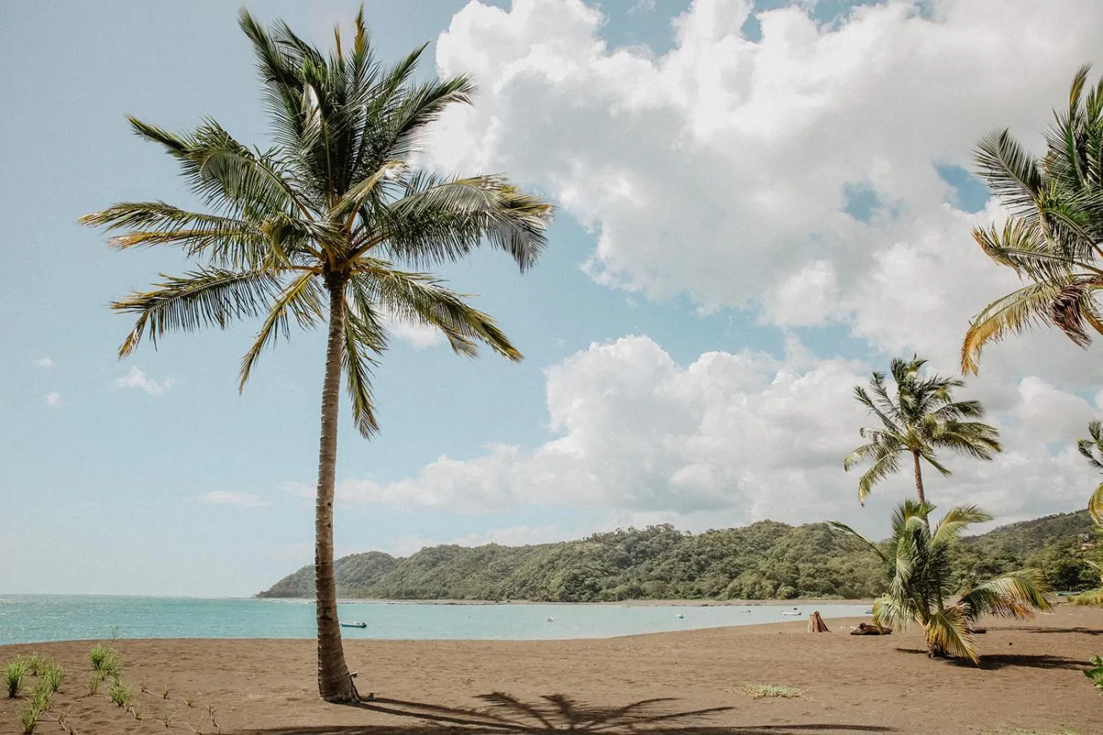 Beach in Sansara Surf Yoga & Resort