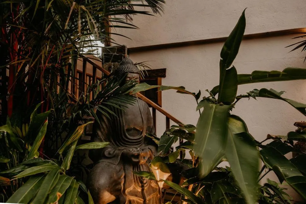 Garden view in Sansara Surf Yoga & Resort