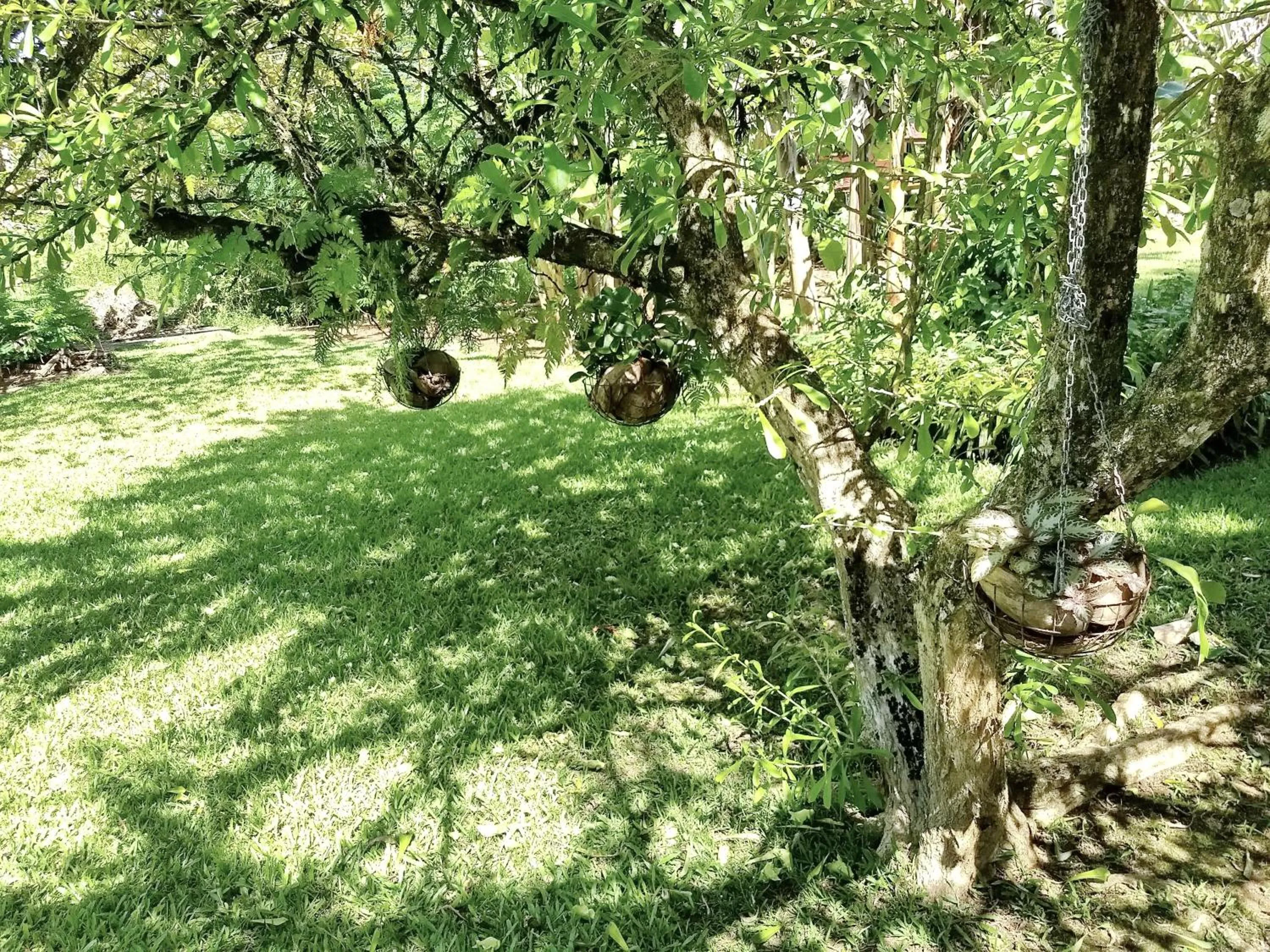 Garden in Pension Les Trois Cascades