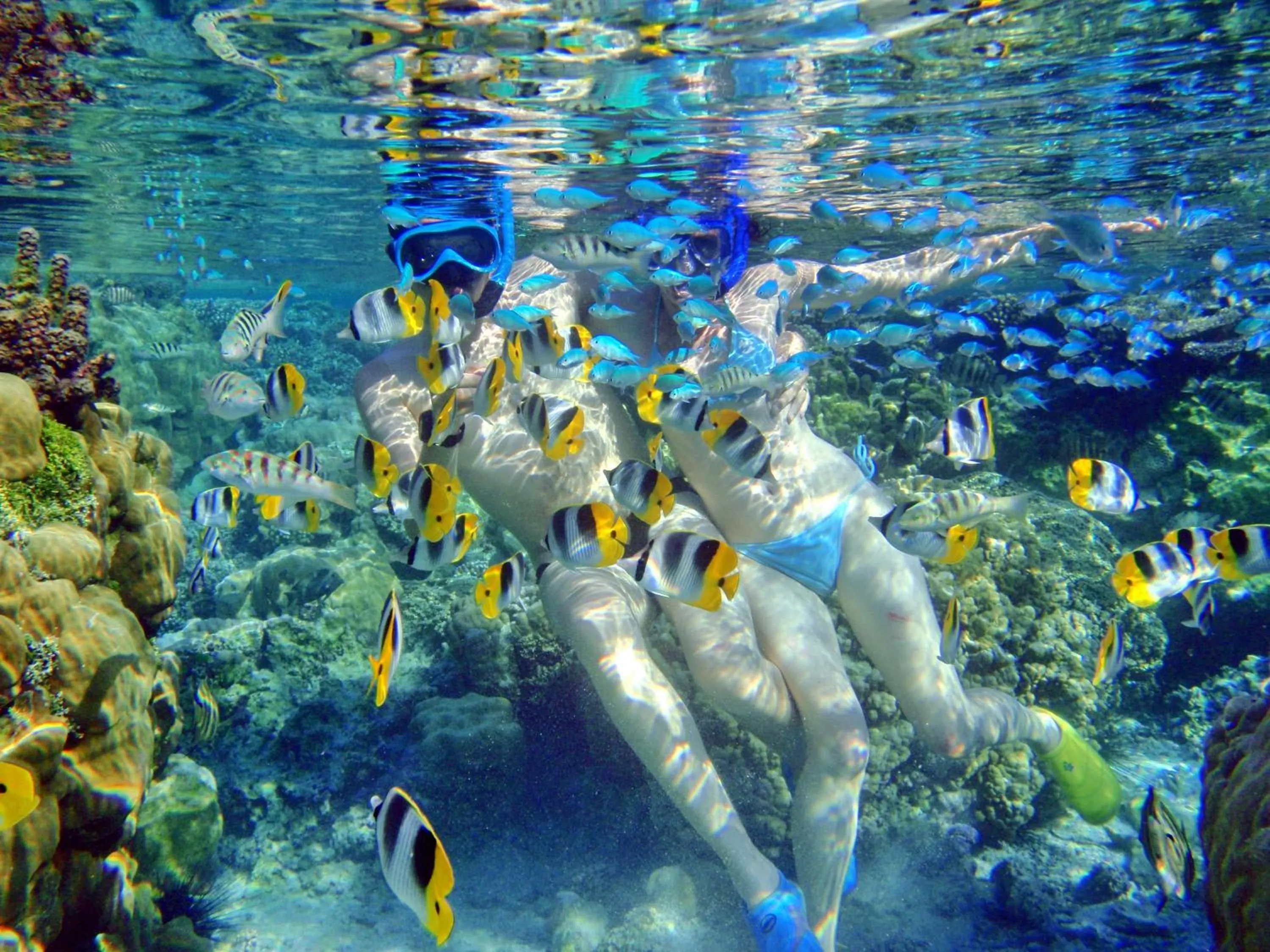 Snorkeling in Pension Les Trois Cascades