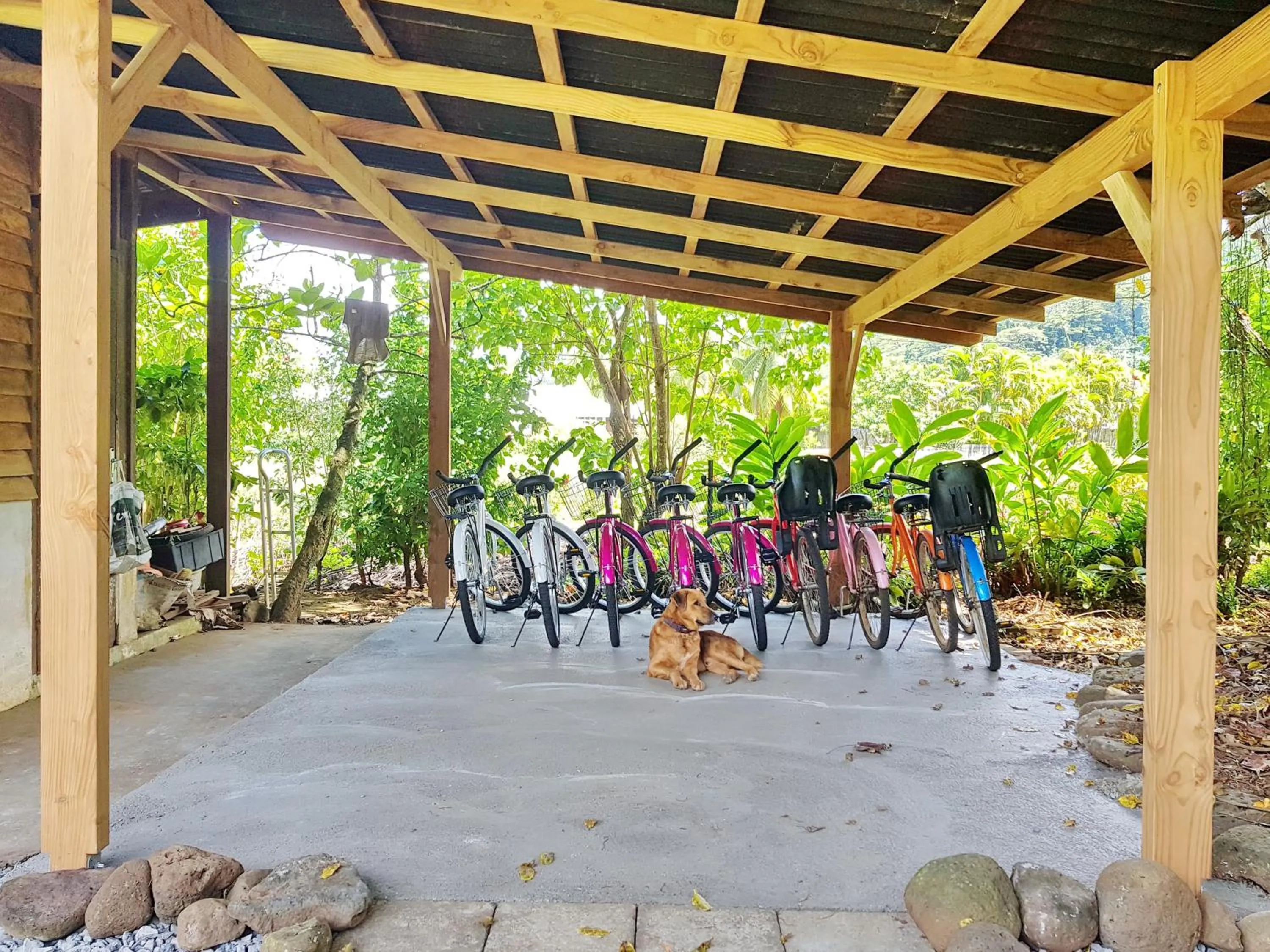 Cycling in Pension Les Trois Cascades