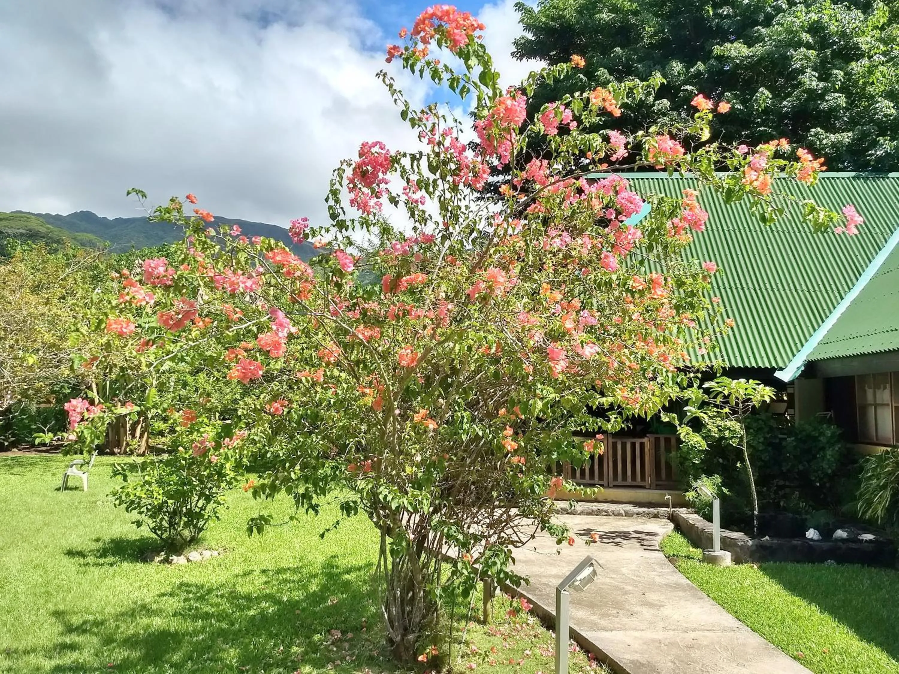 Facade/entrance in Pension Les Trois Cascades