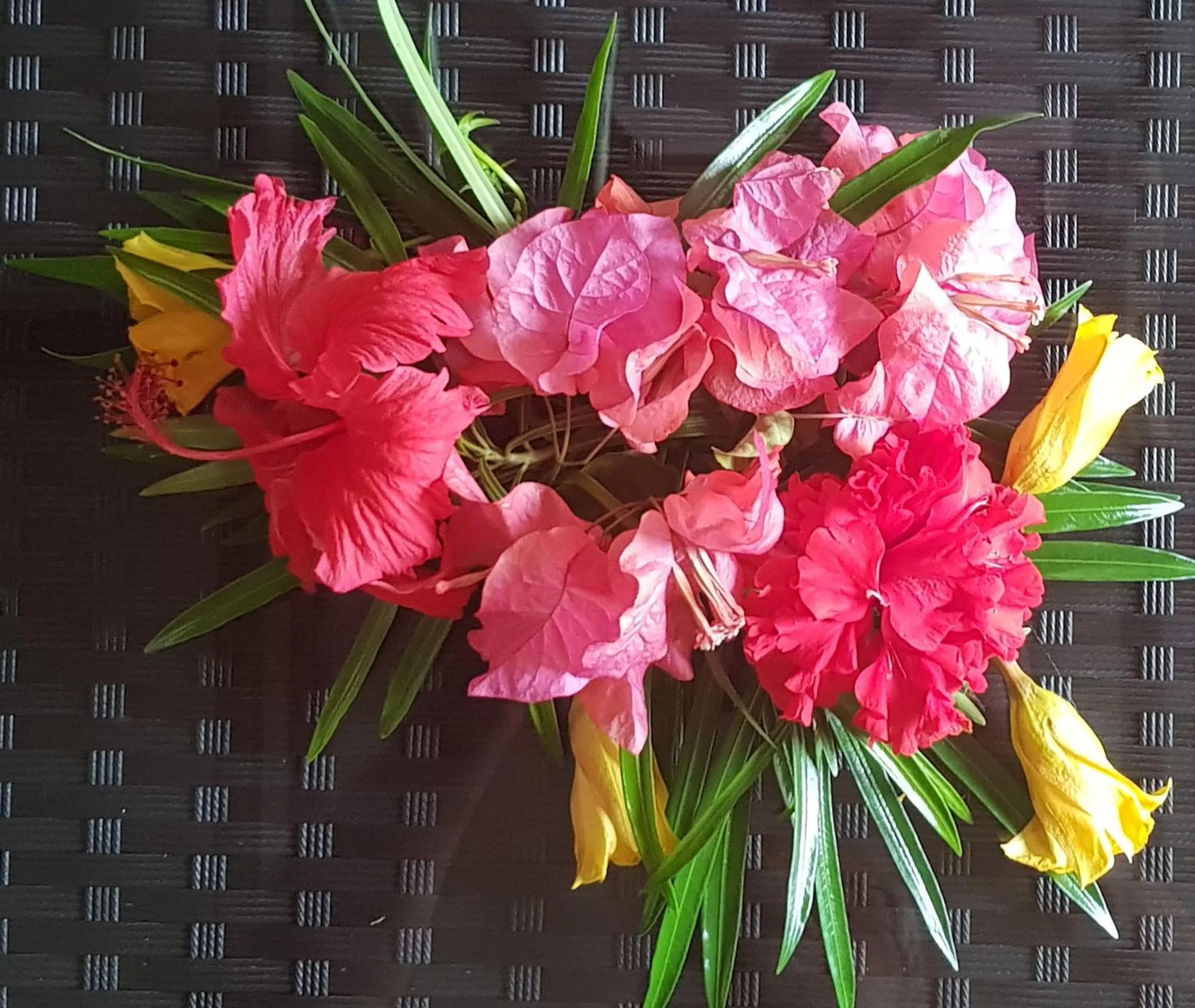 Garden in Pension Les Trois Cascades