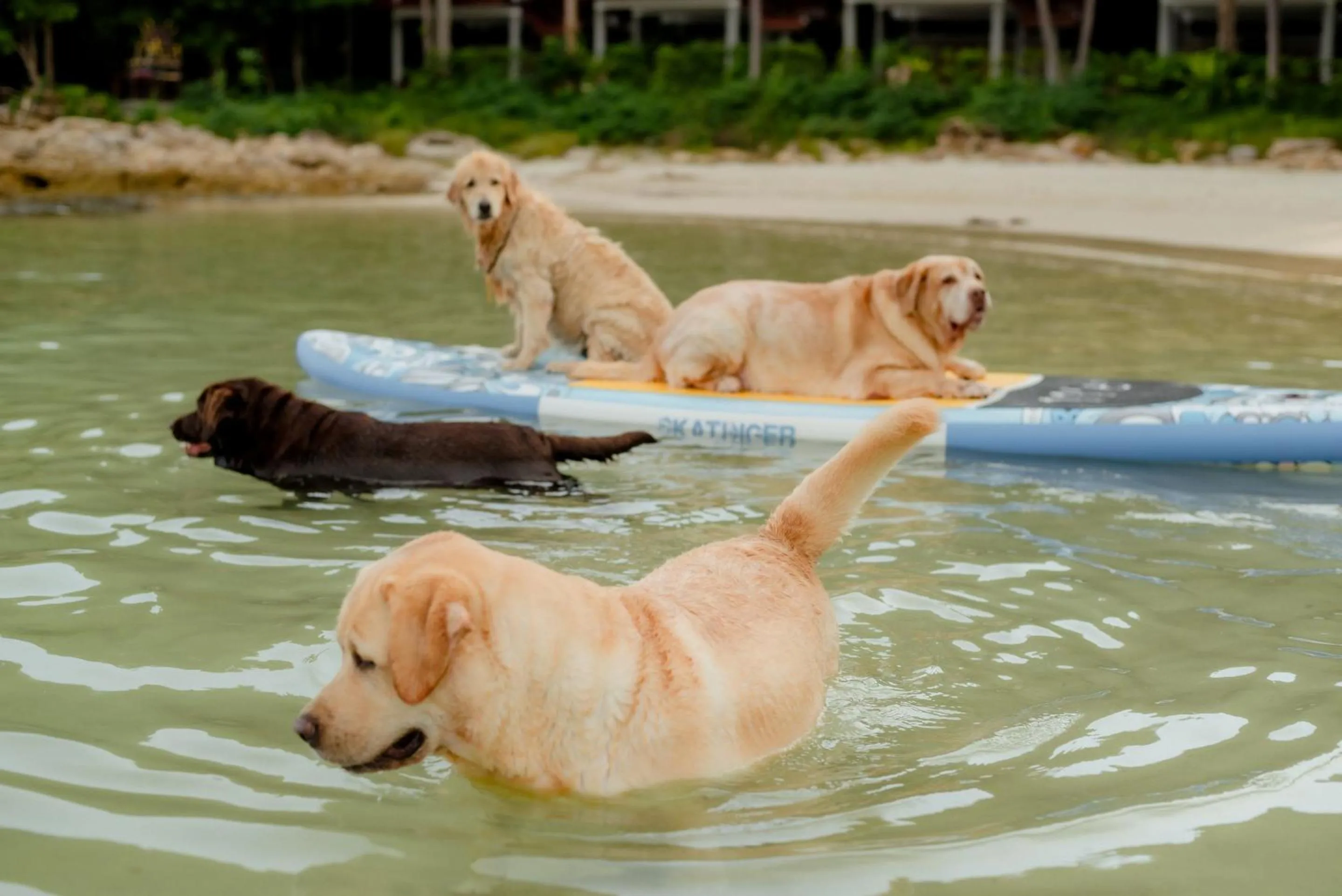 Activities in Tubtim Resort