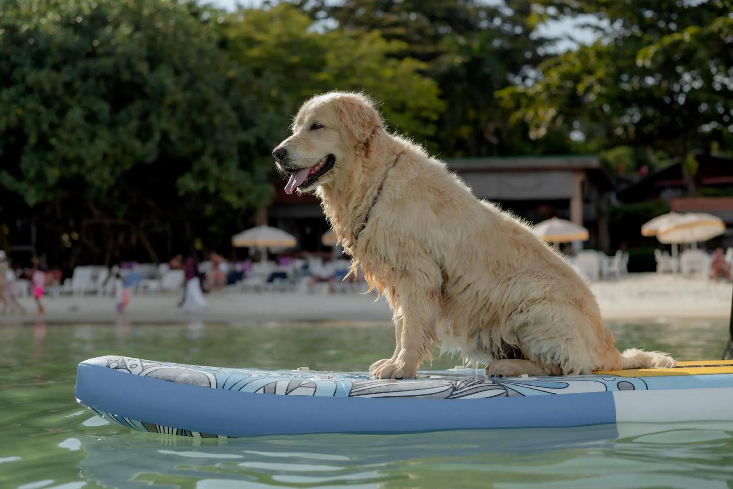 Activities in Tubtim Resort