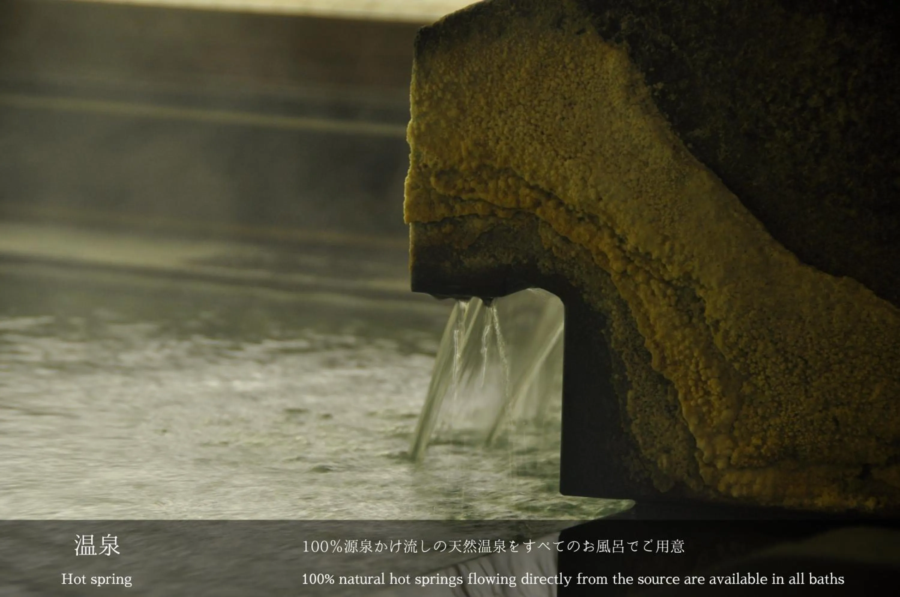 Hot Spring Bath in Tatsuta Ryokan