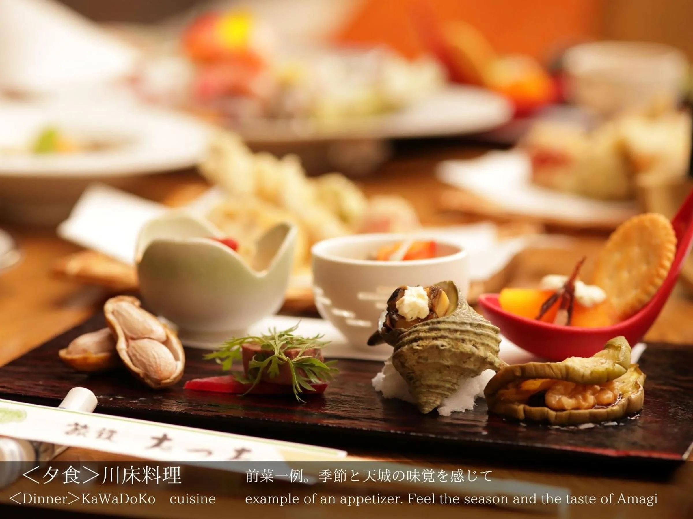 Dinner in Tatsuta Ryokan