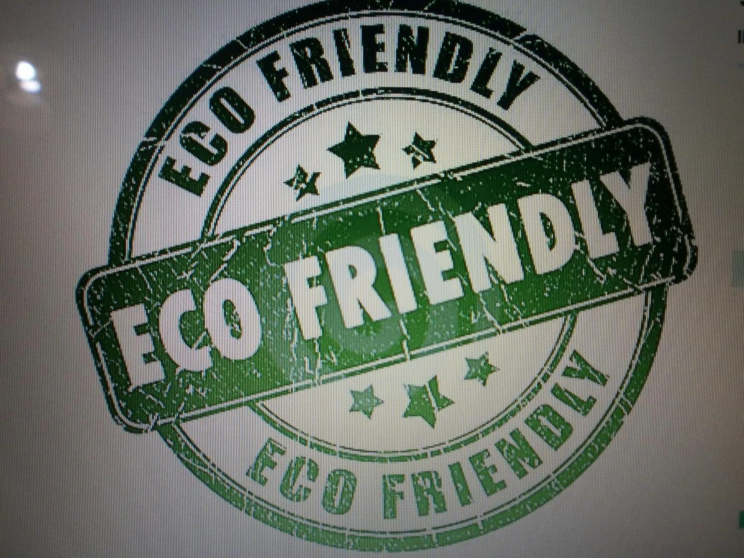 Activities in Salvone's house B&B