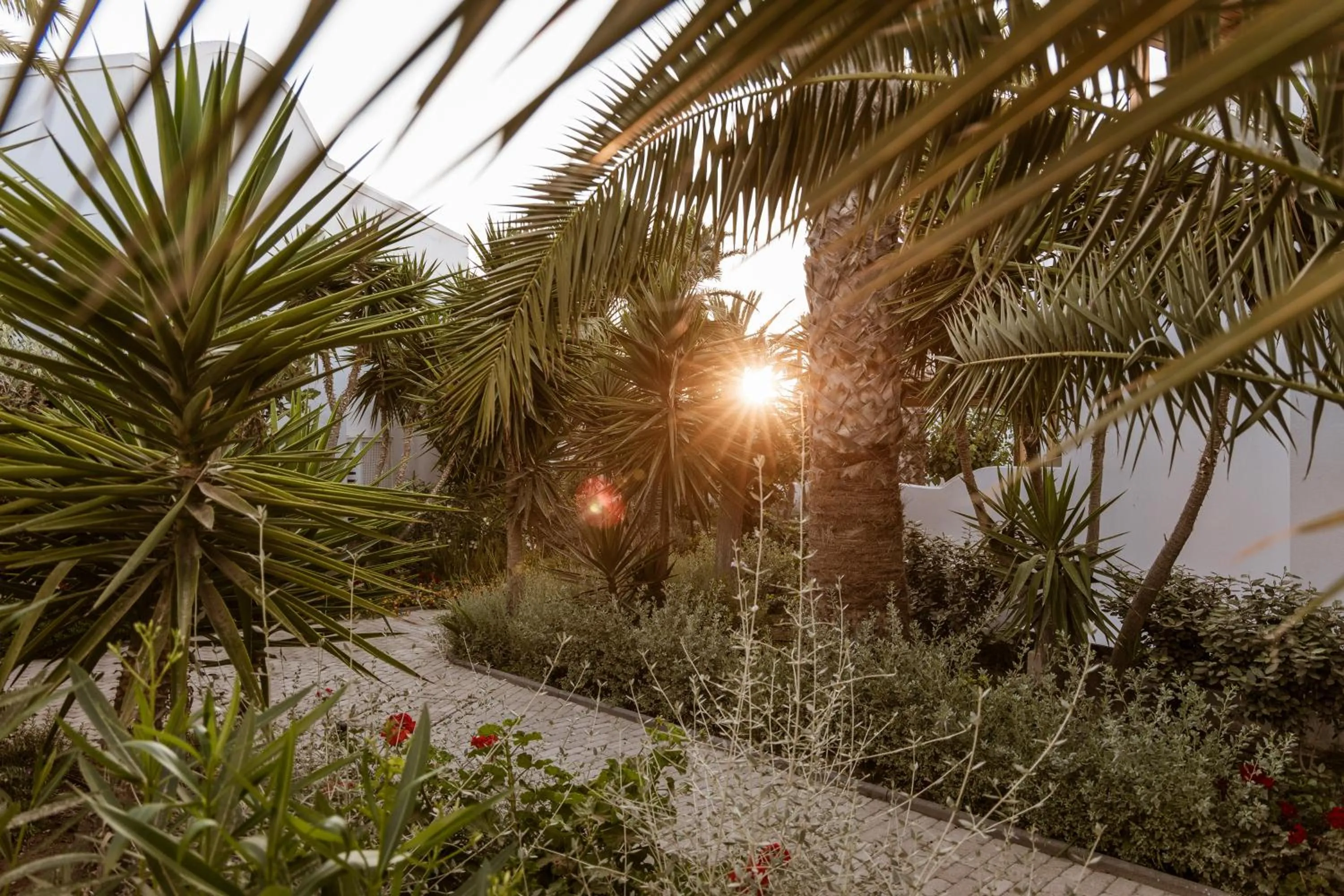 Garden in AMĀRIA Beach Resort by NOMÉE Hospitality Group