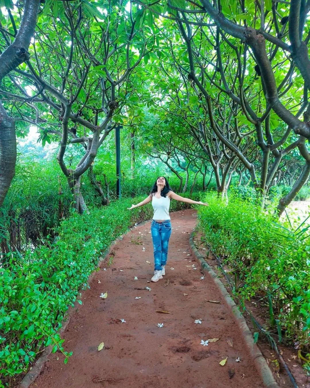 Bansari Greens Resort