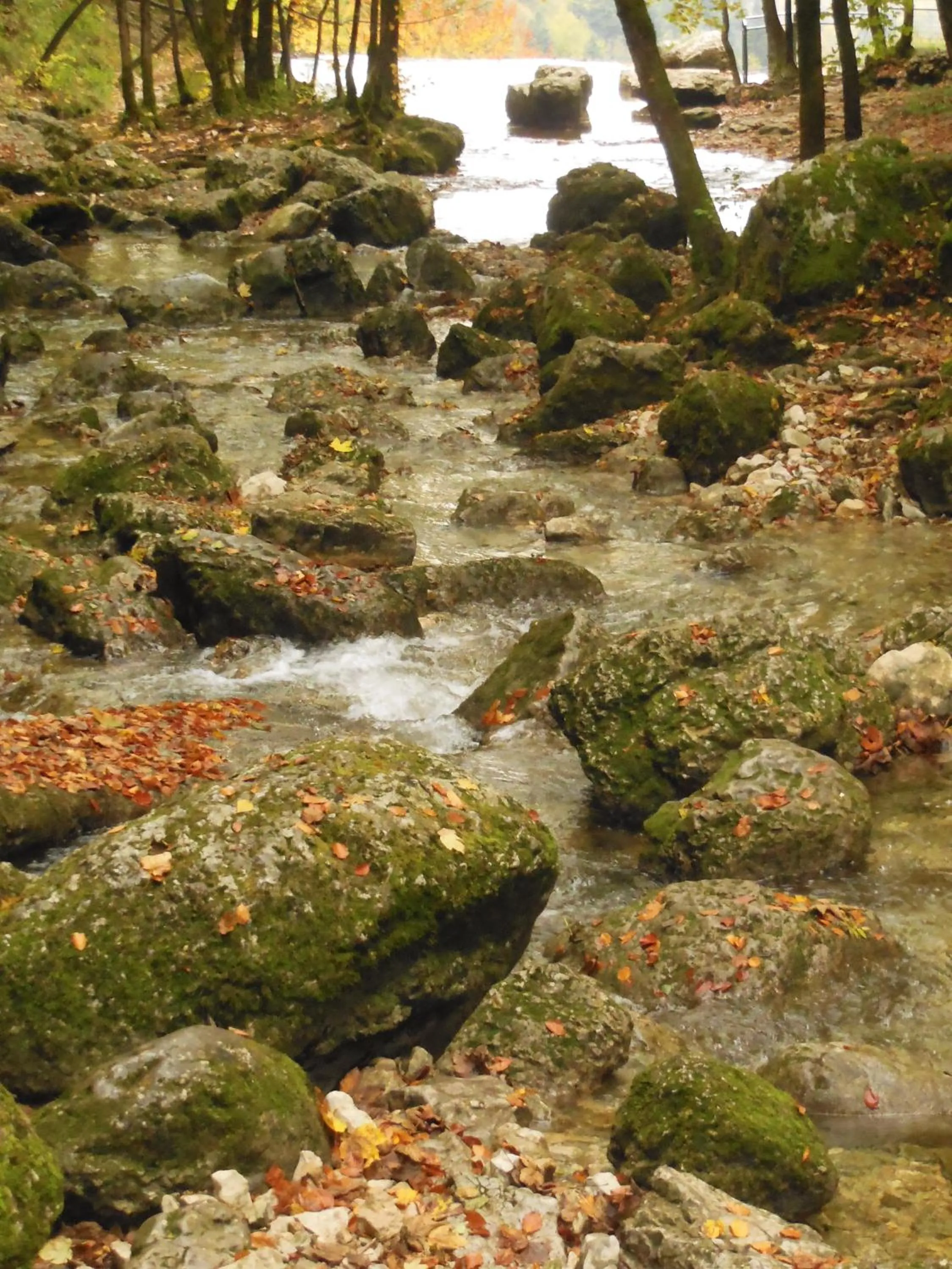 Nearby landmark in Hôtel Le Mélèze