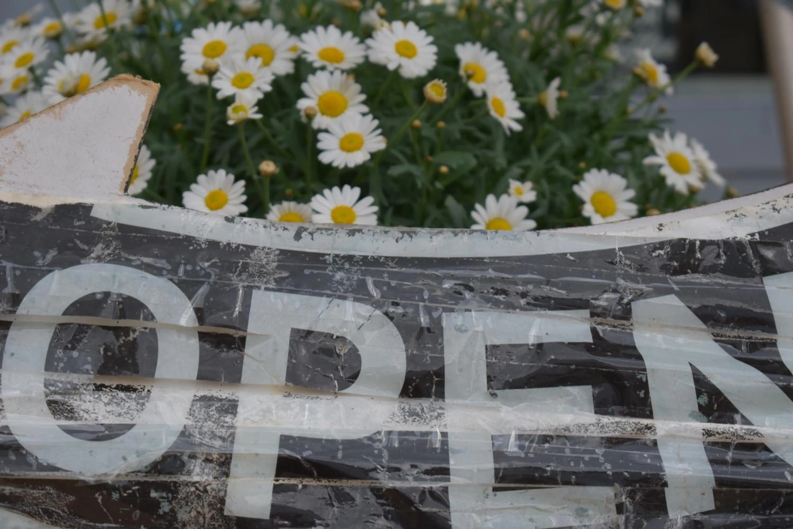 Property building in Hôtel Le Mélèze