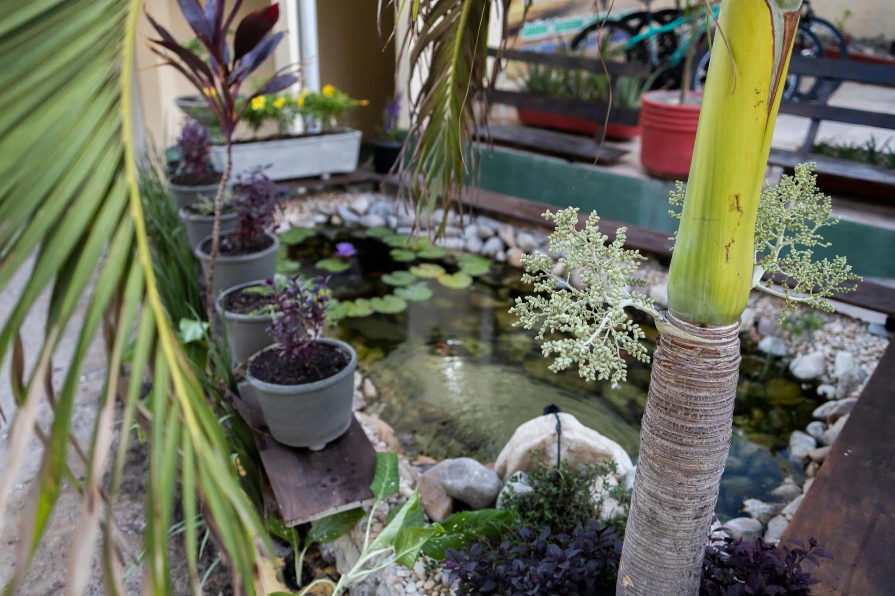 Lake view in Pousada Ceará - Porto das Dunas