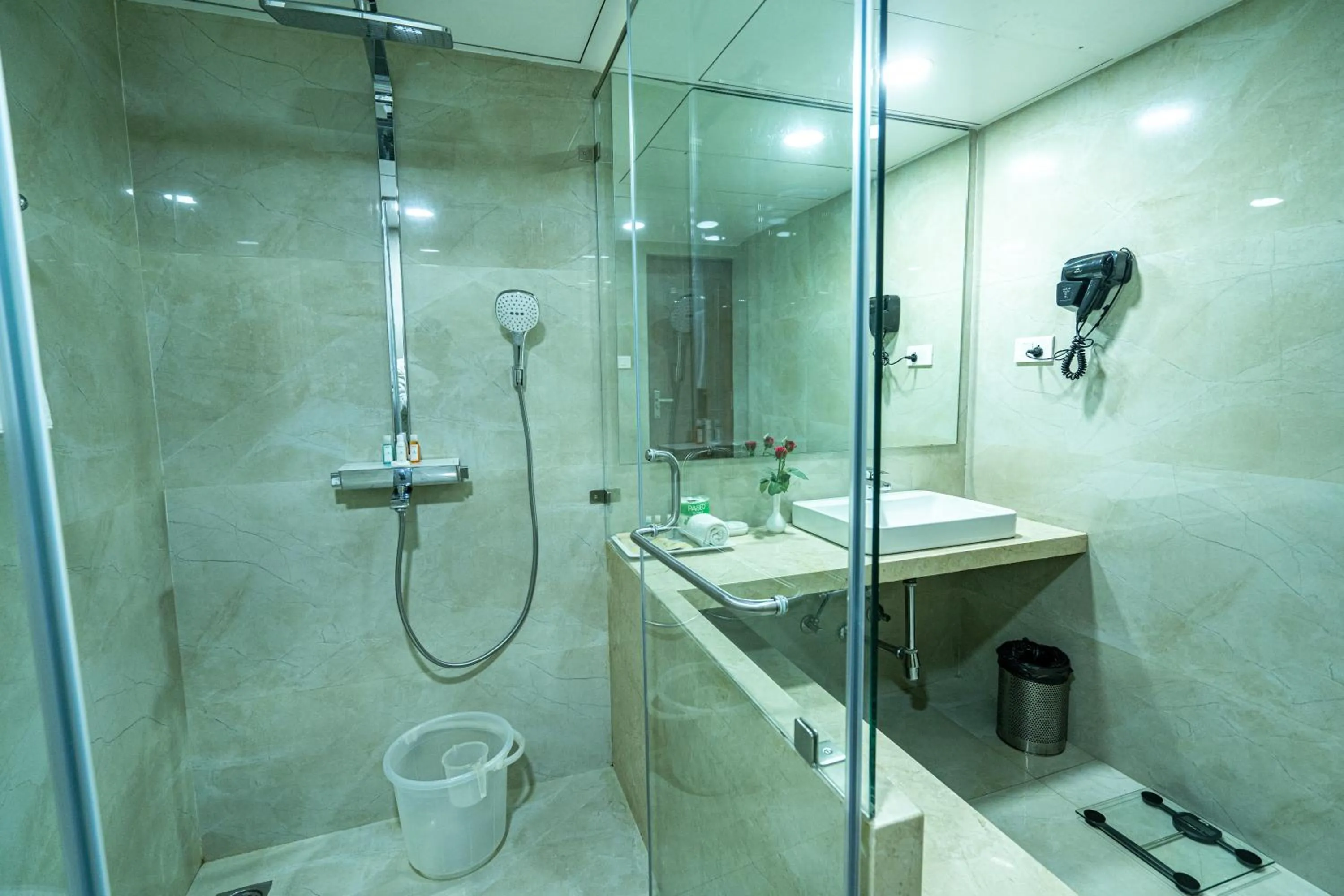 Shower in Hotel Mayura