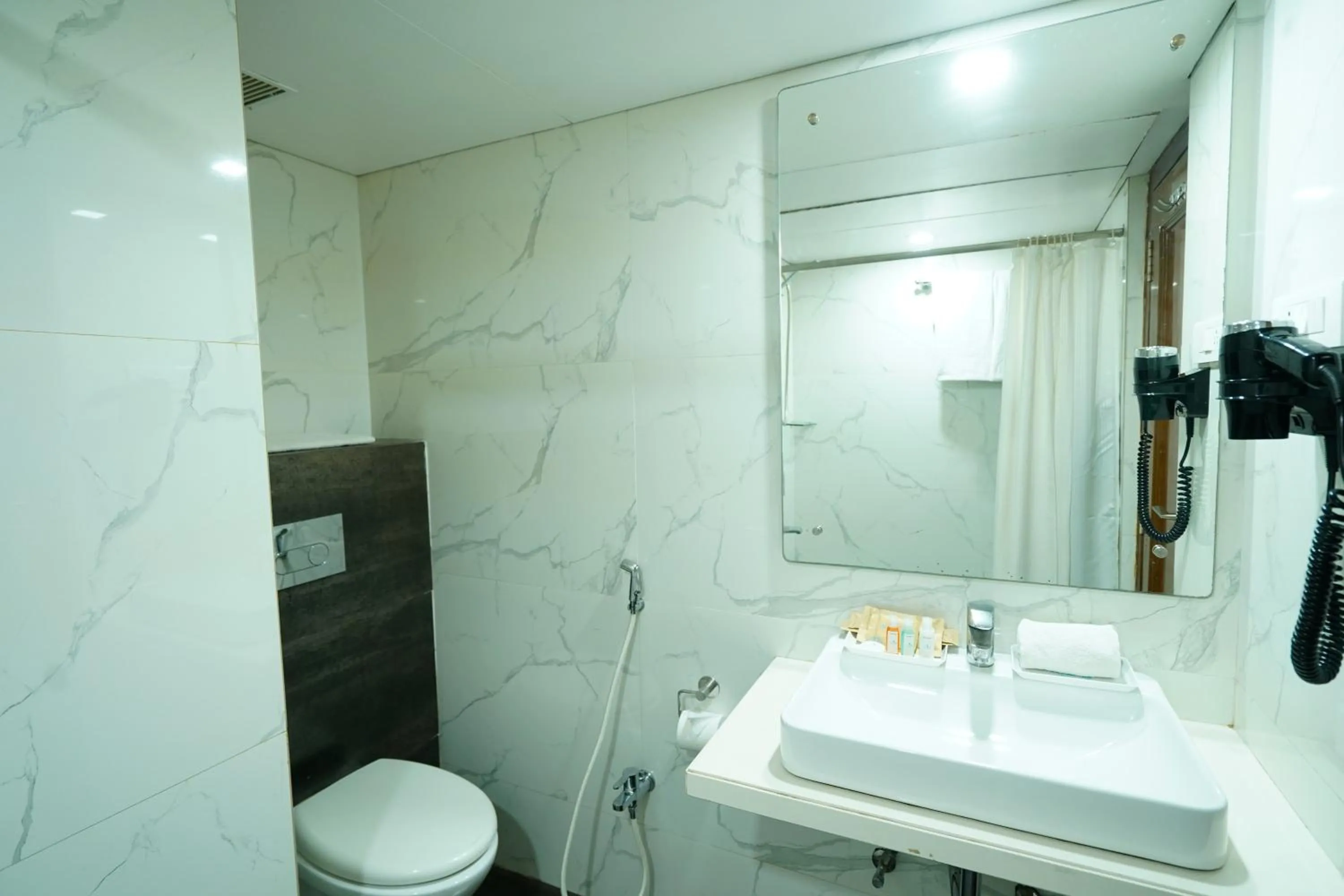 Toilet in Hotel Mayura