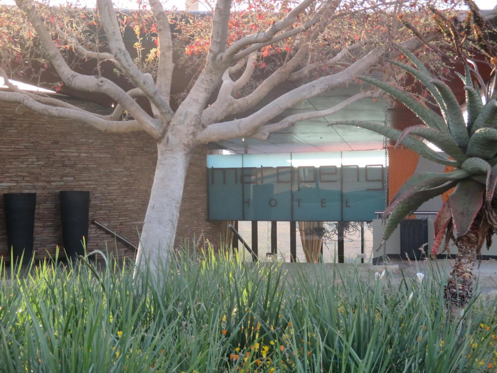 Facade/entrance in Maropeng Boutique Hotel