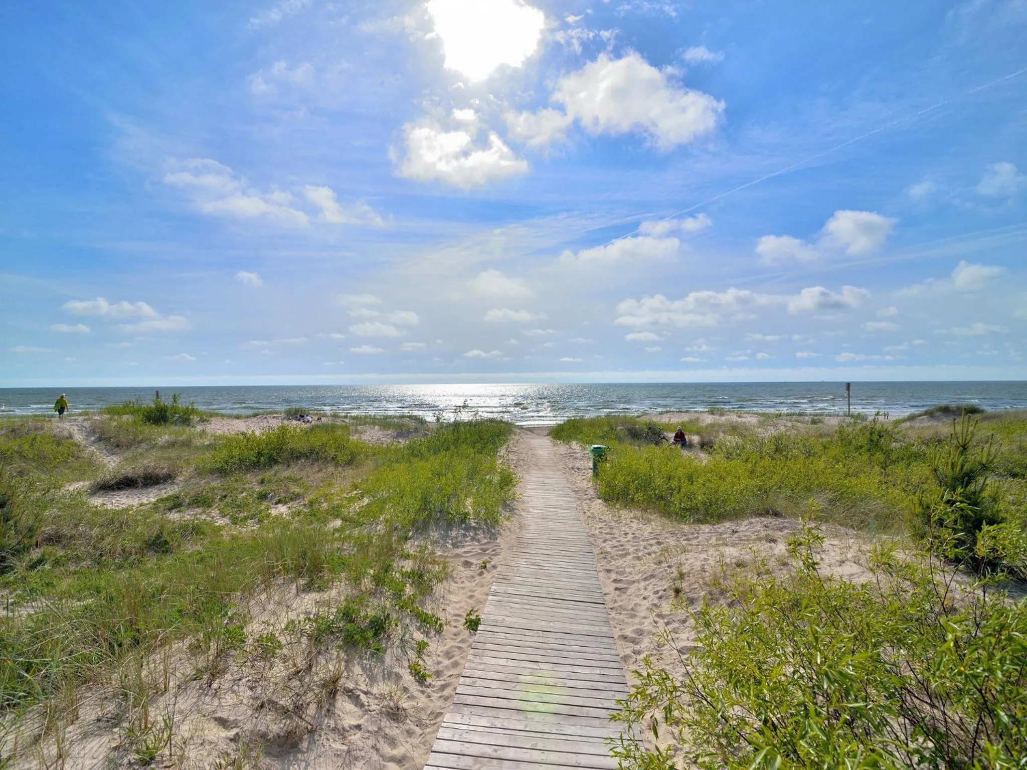 Natural landscape in Meridia - Sventoji