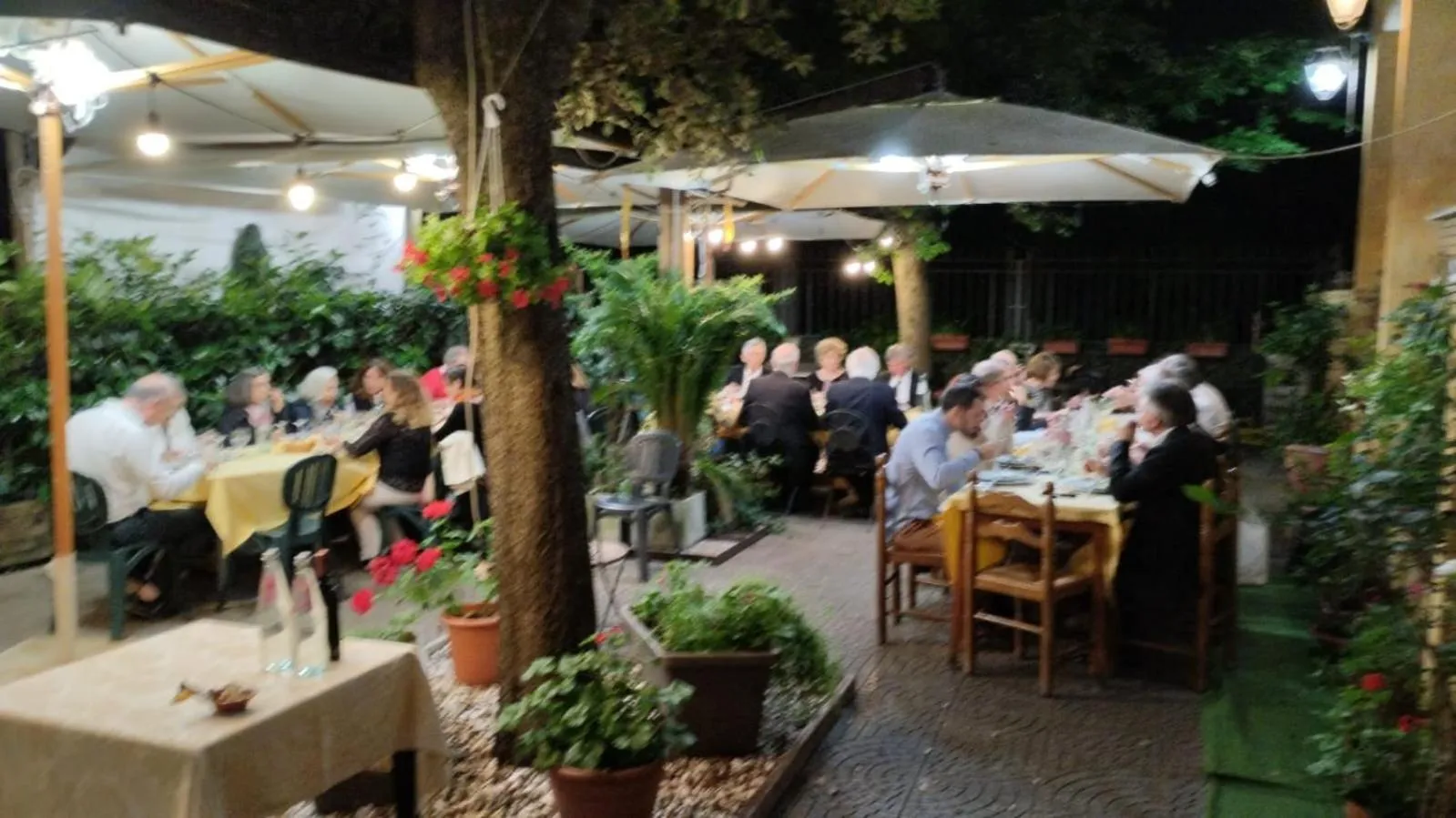 Restaurant/places to eat in Hotel Ristorante Stella