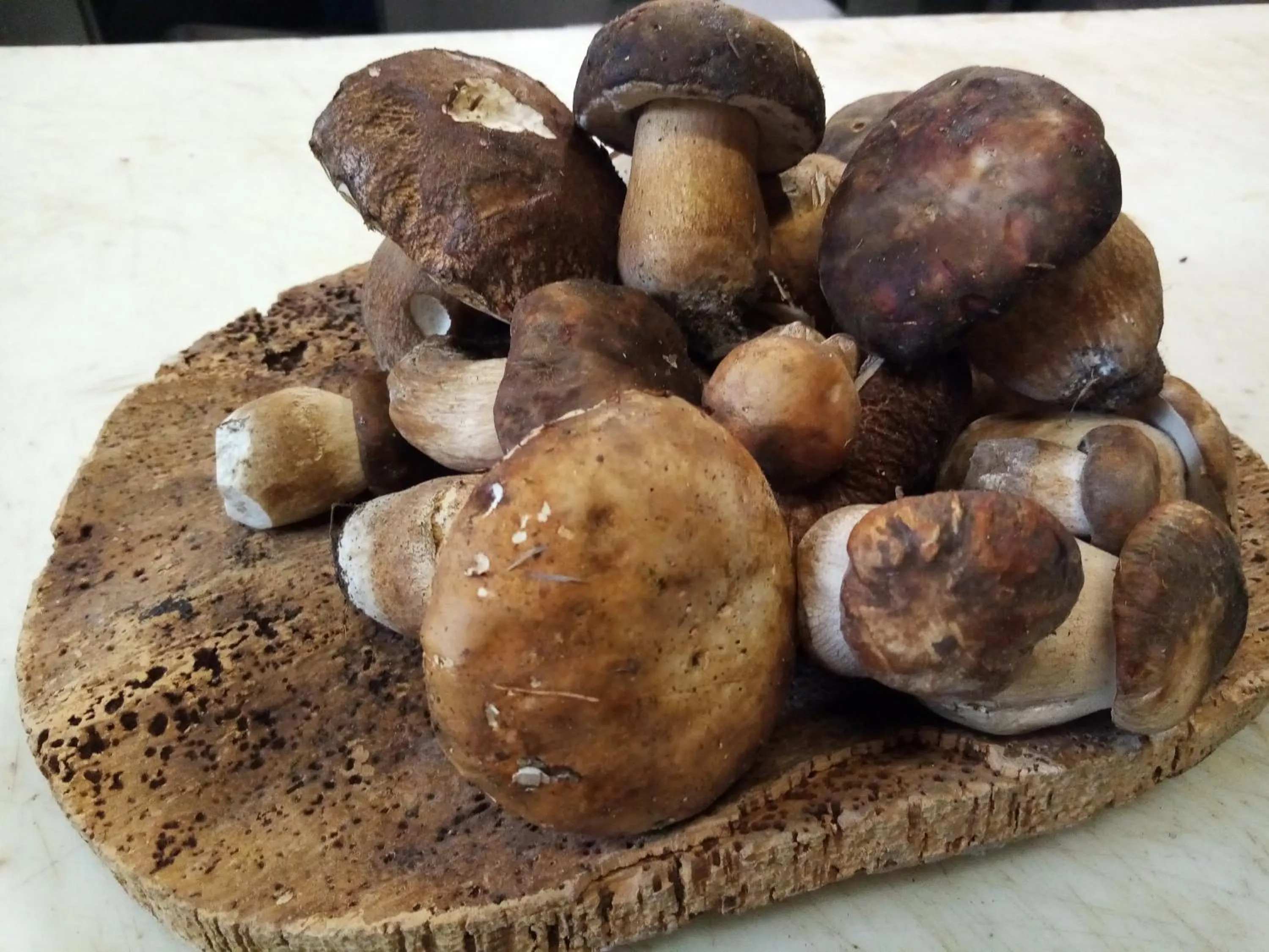 Food and drinks in Hotel Ristorante Stella