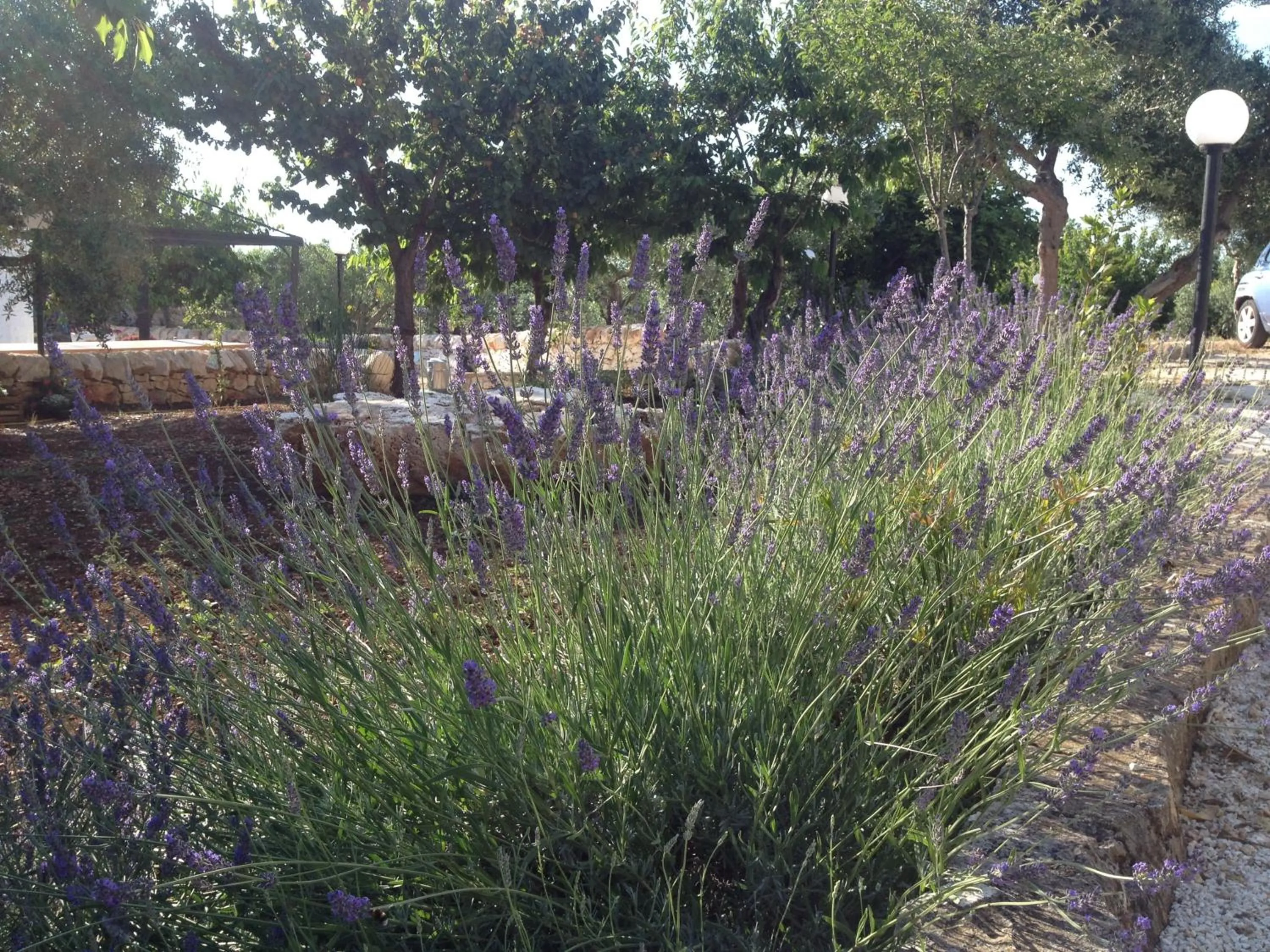 Natural landscape in Aria di Casa Country Resort
