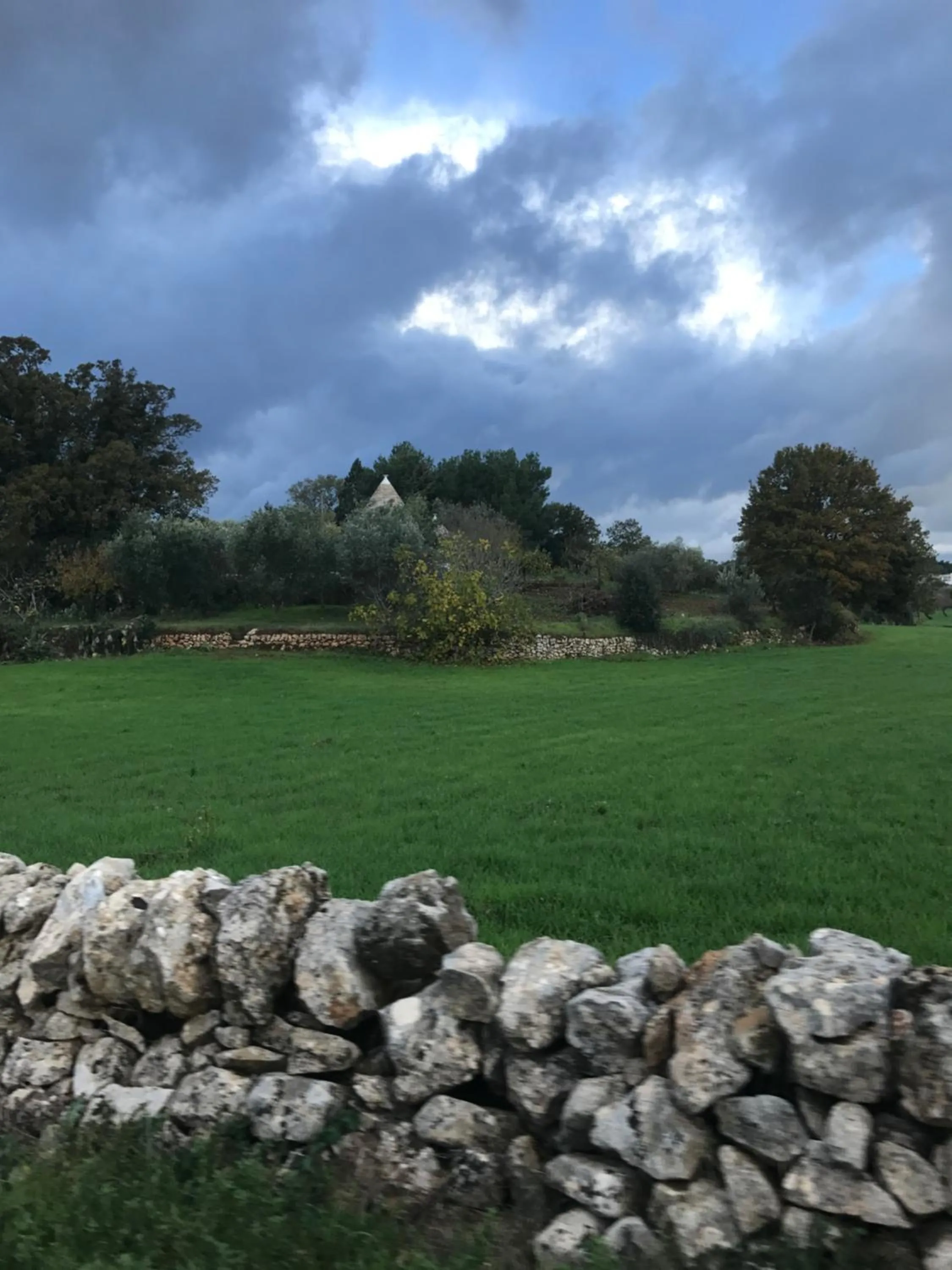 Natural landscape in Aria di Casa Country Resort