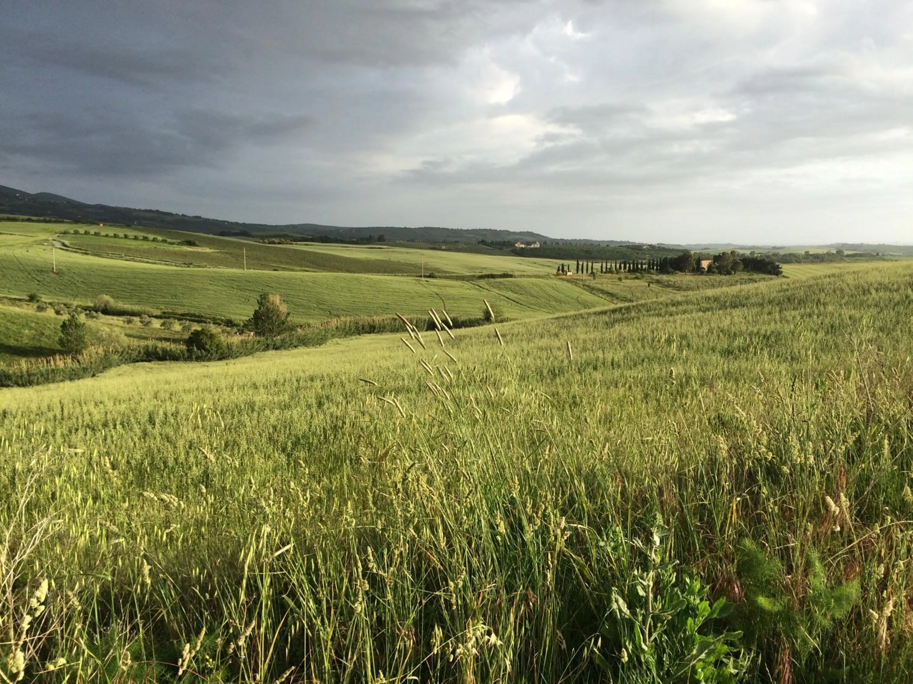 Mountain view in La Locanda del Barbagianni